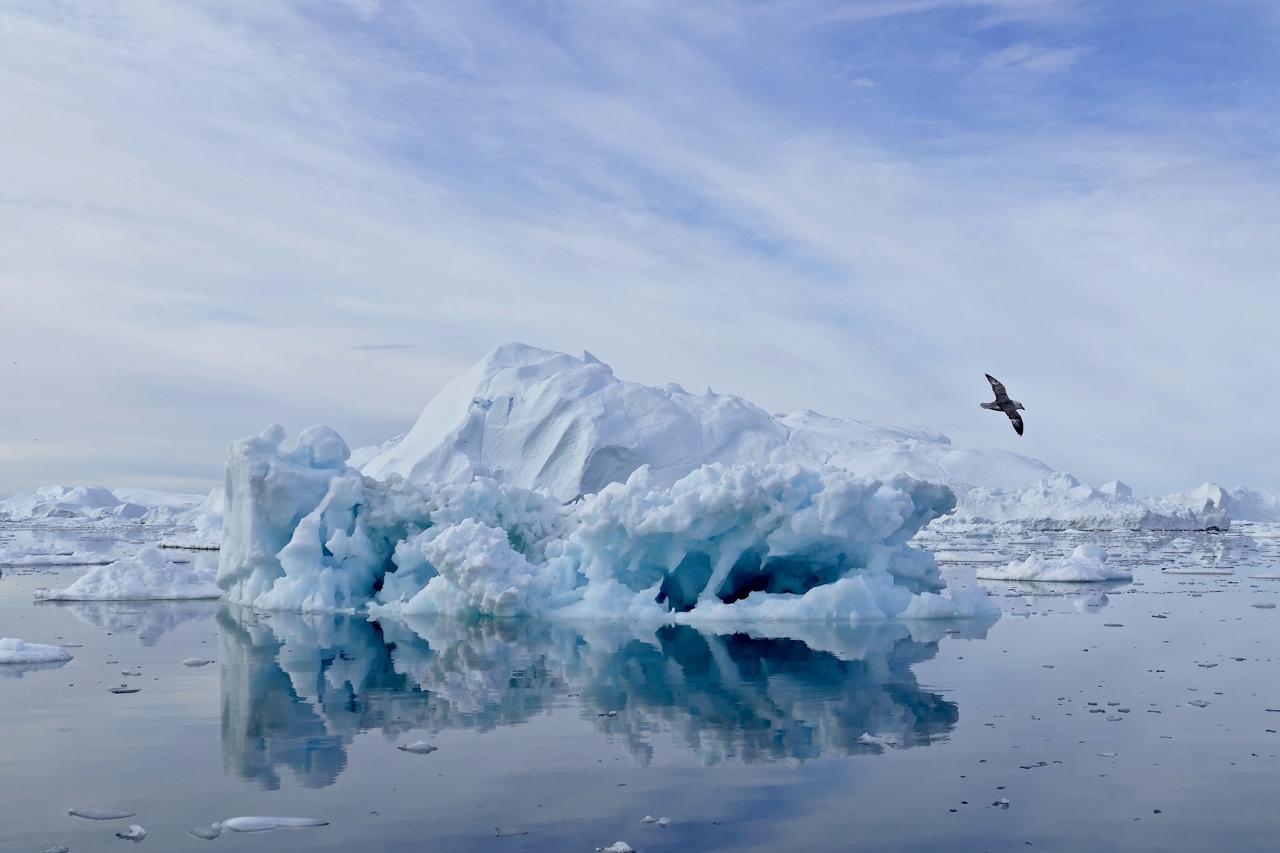 landscape, nature, Iceland, travel, iceberg, bird, blue, cold, reflection, water, arctic, sky, beautiful,, Svetlana Povarova Ree