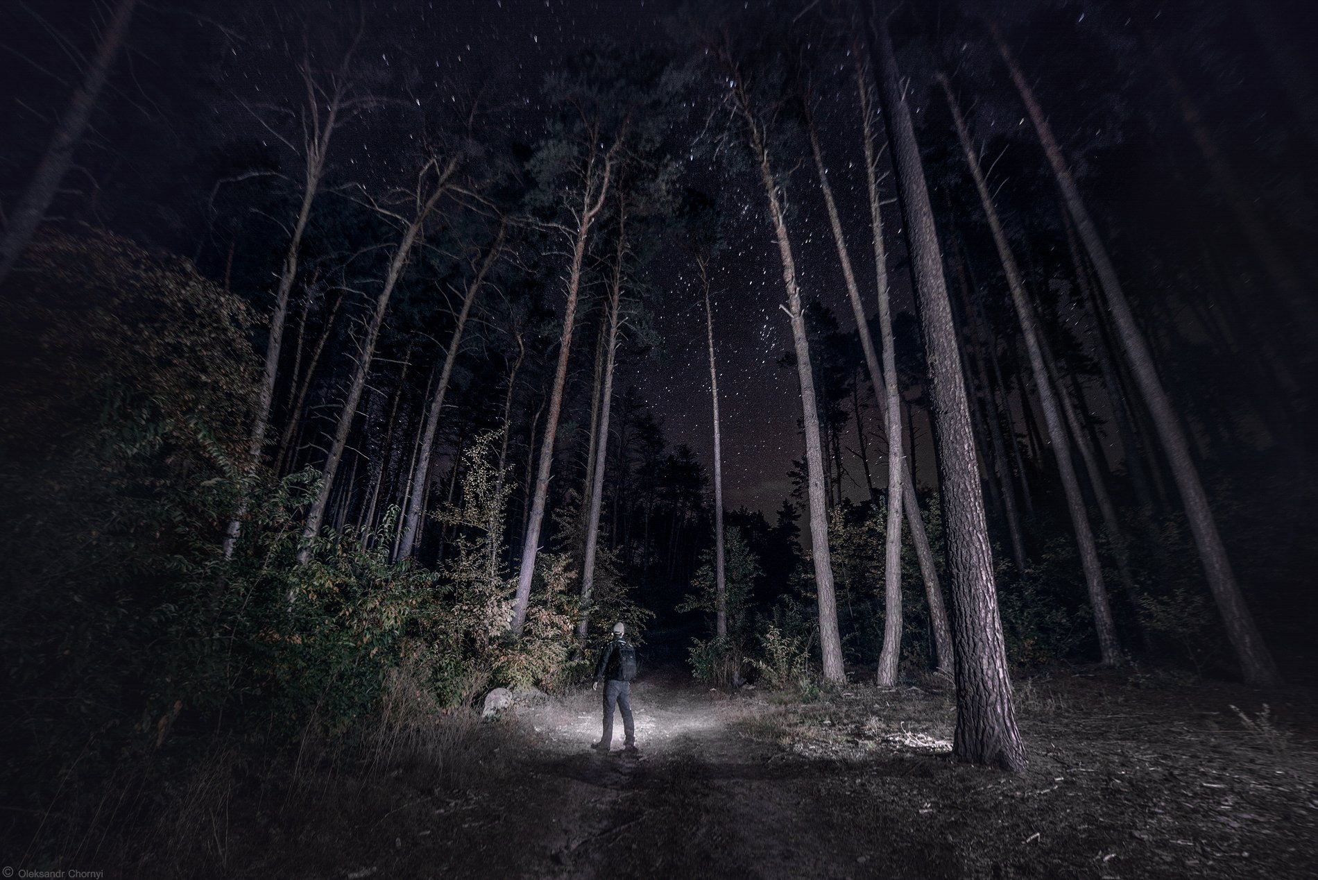 Ночью в лесу с фонариком
