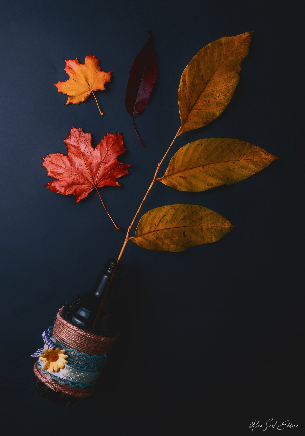 autumn, fall, colors, photography, Alaa Seif Eddine