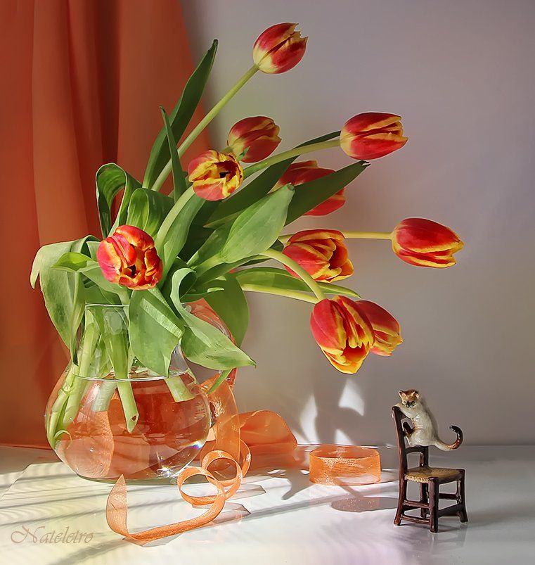 натюрморт, , цветы, тюльпаны, стульчик, кот, свет, тень, Наталья Кузнецова (Nateletro)