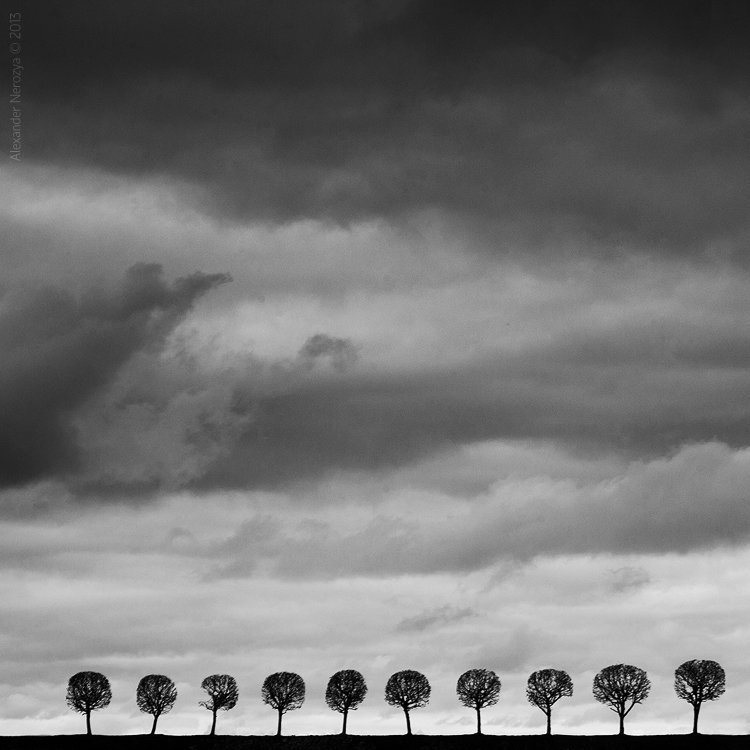 петергоф, деревья, абстракция, небо, драмма, концепт, Александр 'Horimono' Нерозя