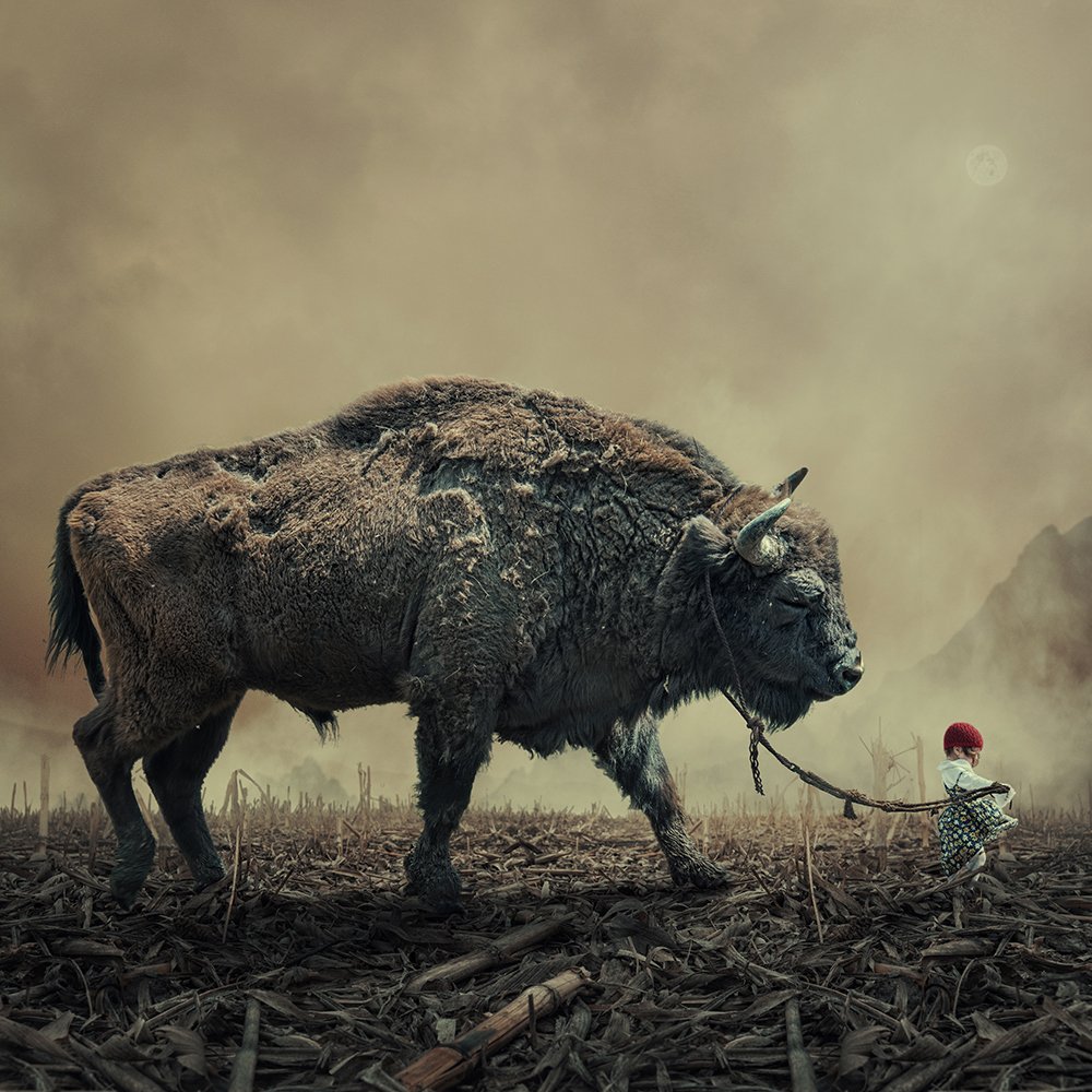 aurochs, clouds, corn, girl, ground, head, heat, ioana, light, manipulation, mounting, psd, reflection, sky, spinner, stage, tutorials, wheel, mounting happy, Caras Ionut