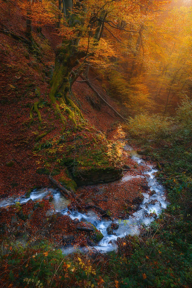 medvednica, zagreb, croatia, landscape, autumn, forest, tre, orange, river , Roberto Pavic