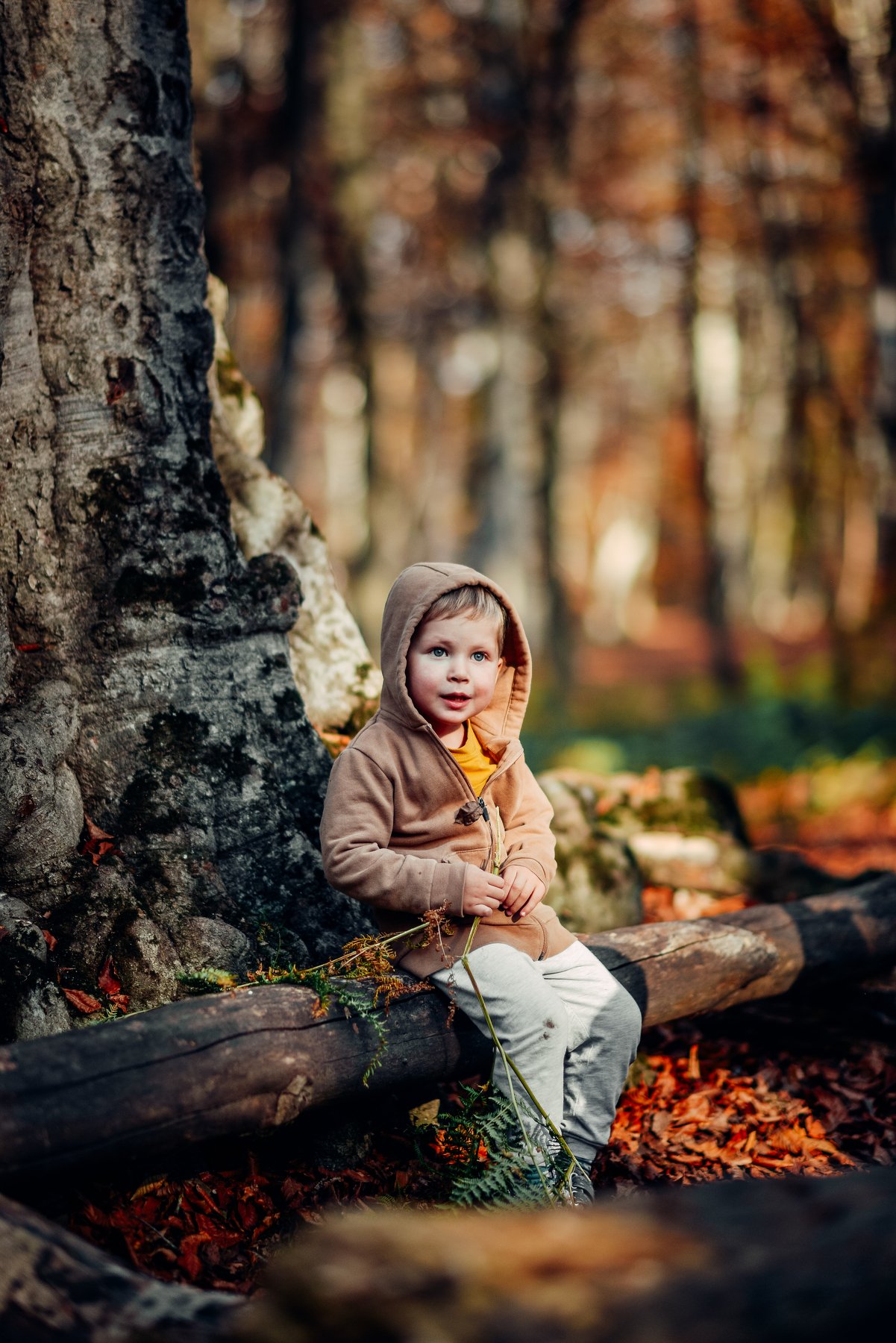 kid,autumn,georgia,tbilisi,nikon,d600,portrait, Neiman Miho