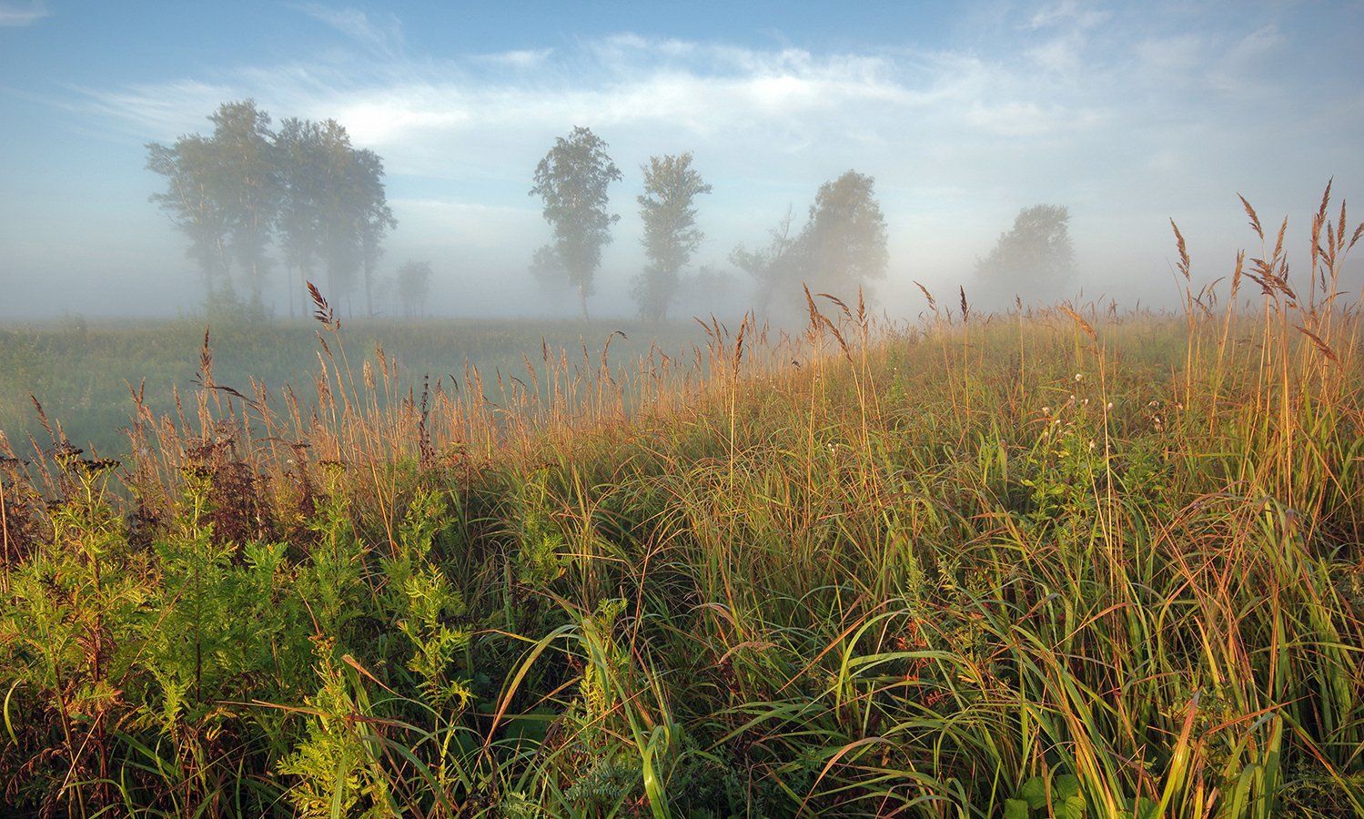 рассвет, утро, свет, поле, трава, облака, туман, лето, Валерий Чичкин