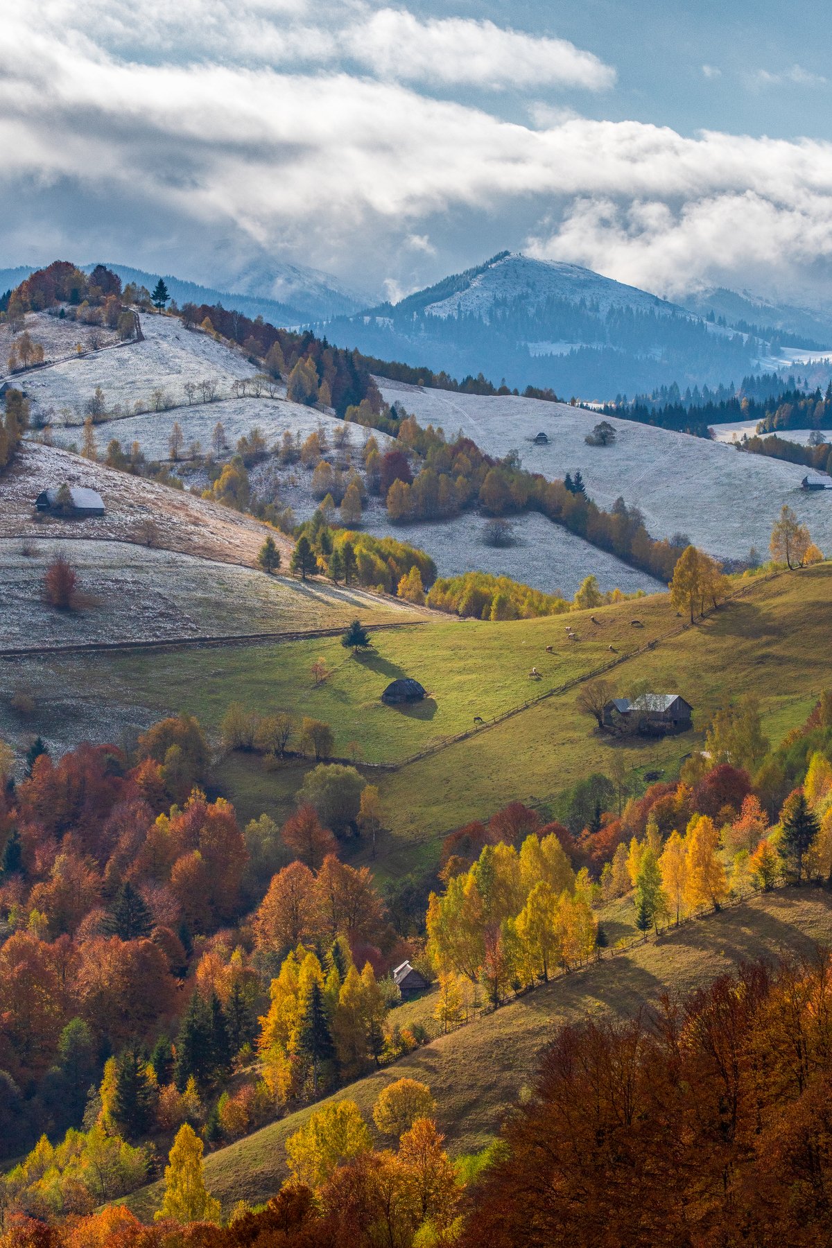 landscape, winter, autumn, rural, fall, colors, snow, , Adrian Stanica