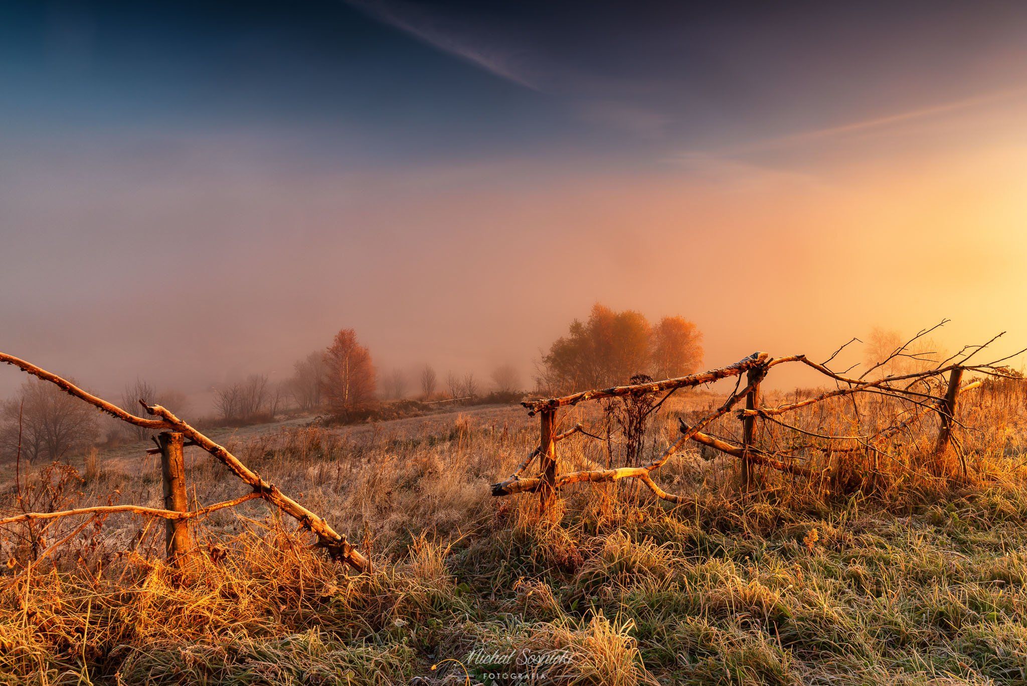 #poland #sunrise #pentax #benro #sky #fog #foggy #color #morning #trees, Michał Sośnicki