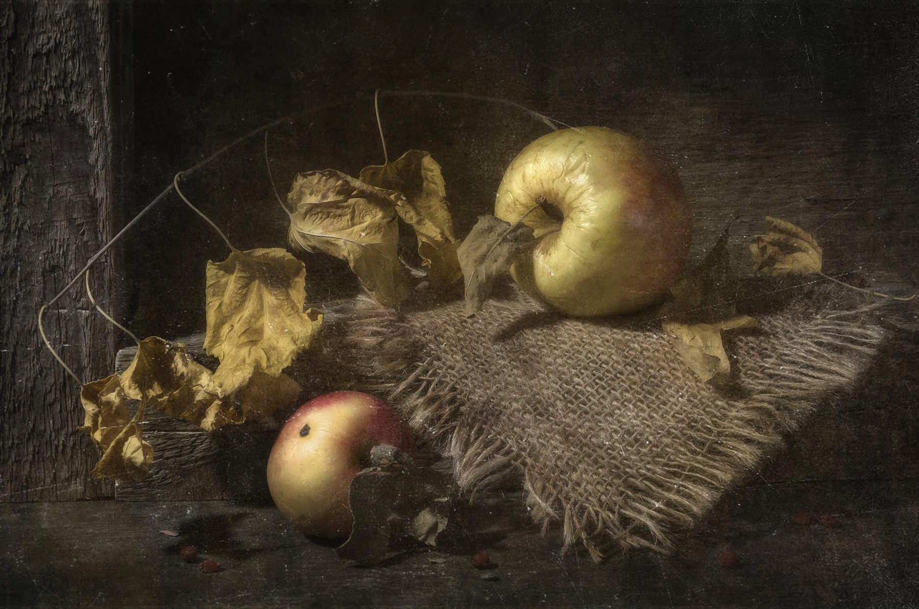 старый,деревенский,яблоки,листья,сухие,осень,доски, Владимир Володин