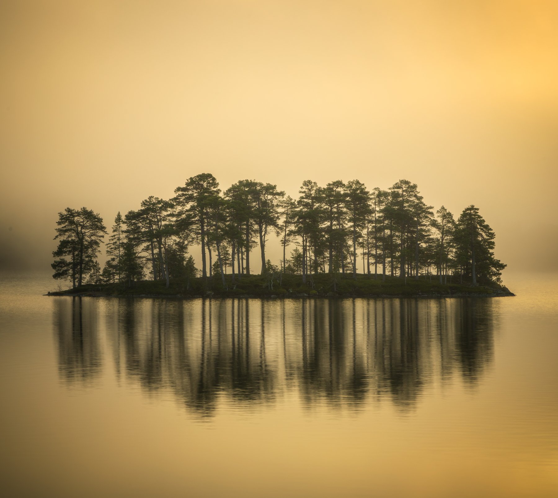 norway,lake,island,autumn,morning,sunrise,fog,foggy,, Adrian Szatewicz