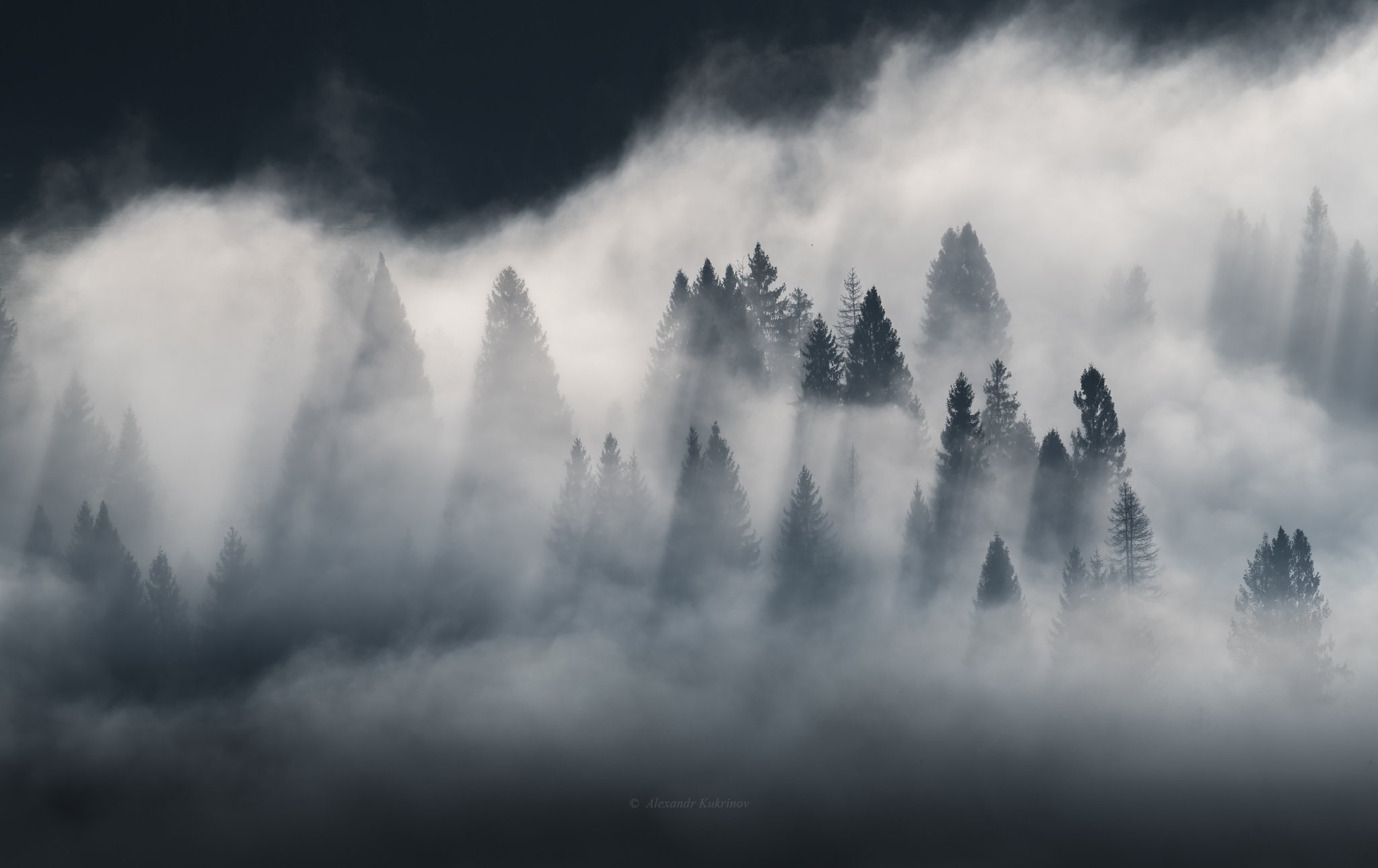 карпаты, утро, рассвет, туман, пейзаж, Александр Кукринов