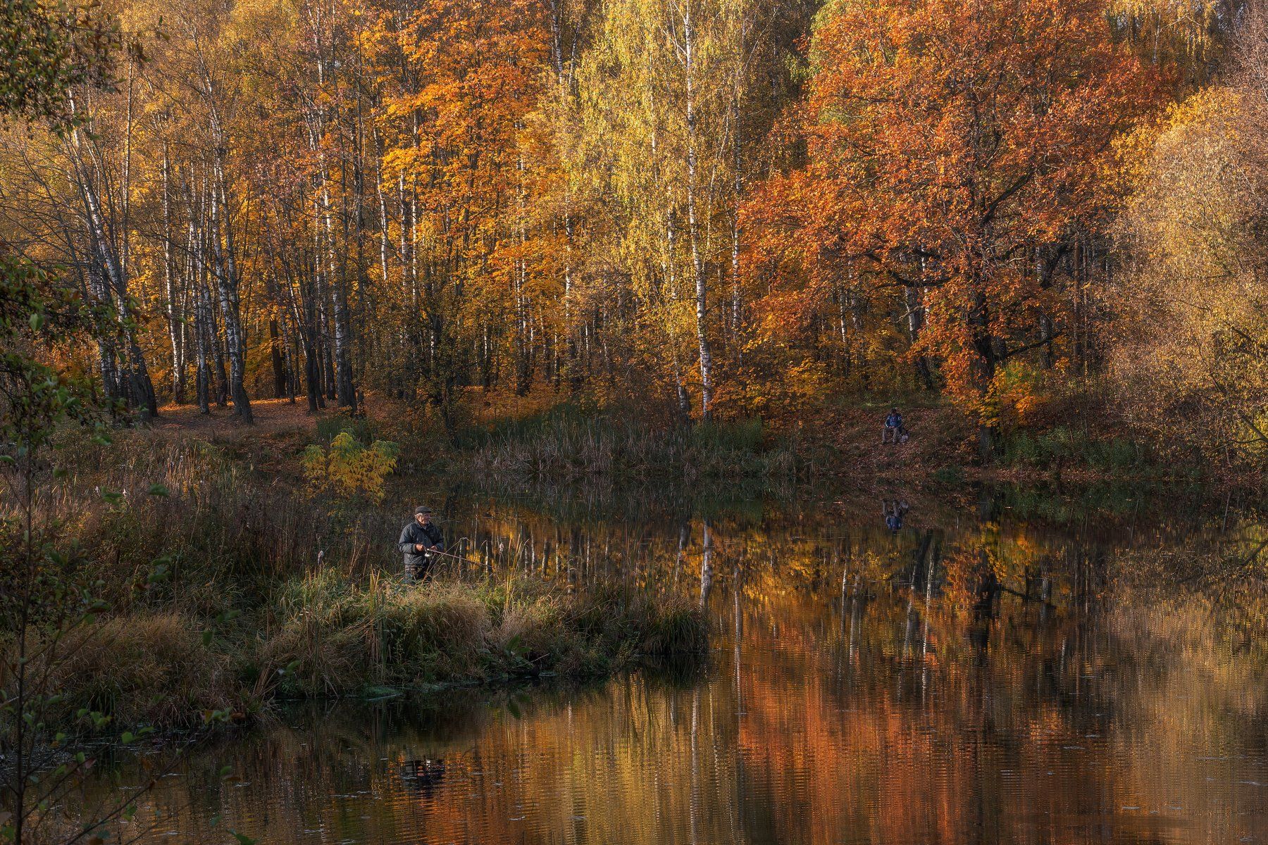 Московская область, природа, пейзаж, золотая осень, рыбаки, отражения, Мартыненко Дмитрий
