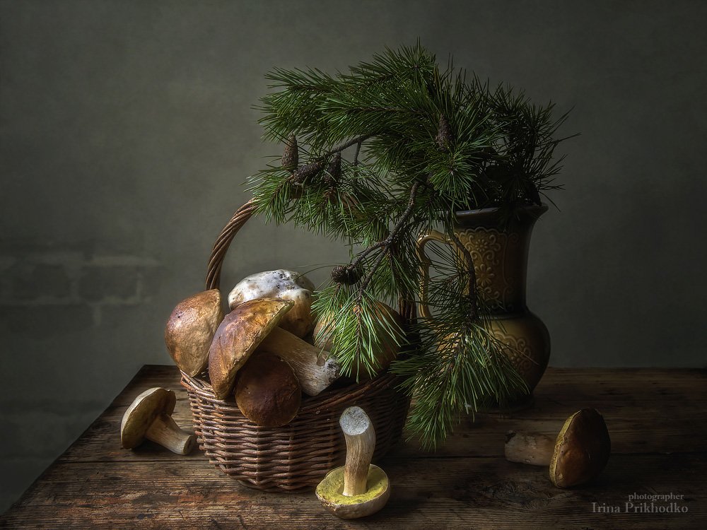 натюрморт, грибы, лесные, белые, корзина, сосновые ветки, художественное фото, Ирина Приходько