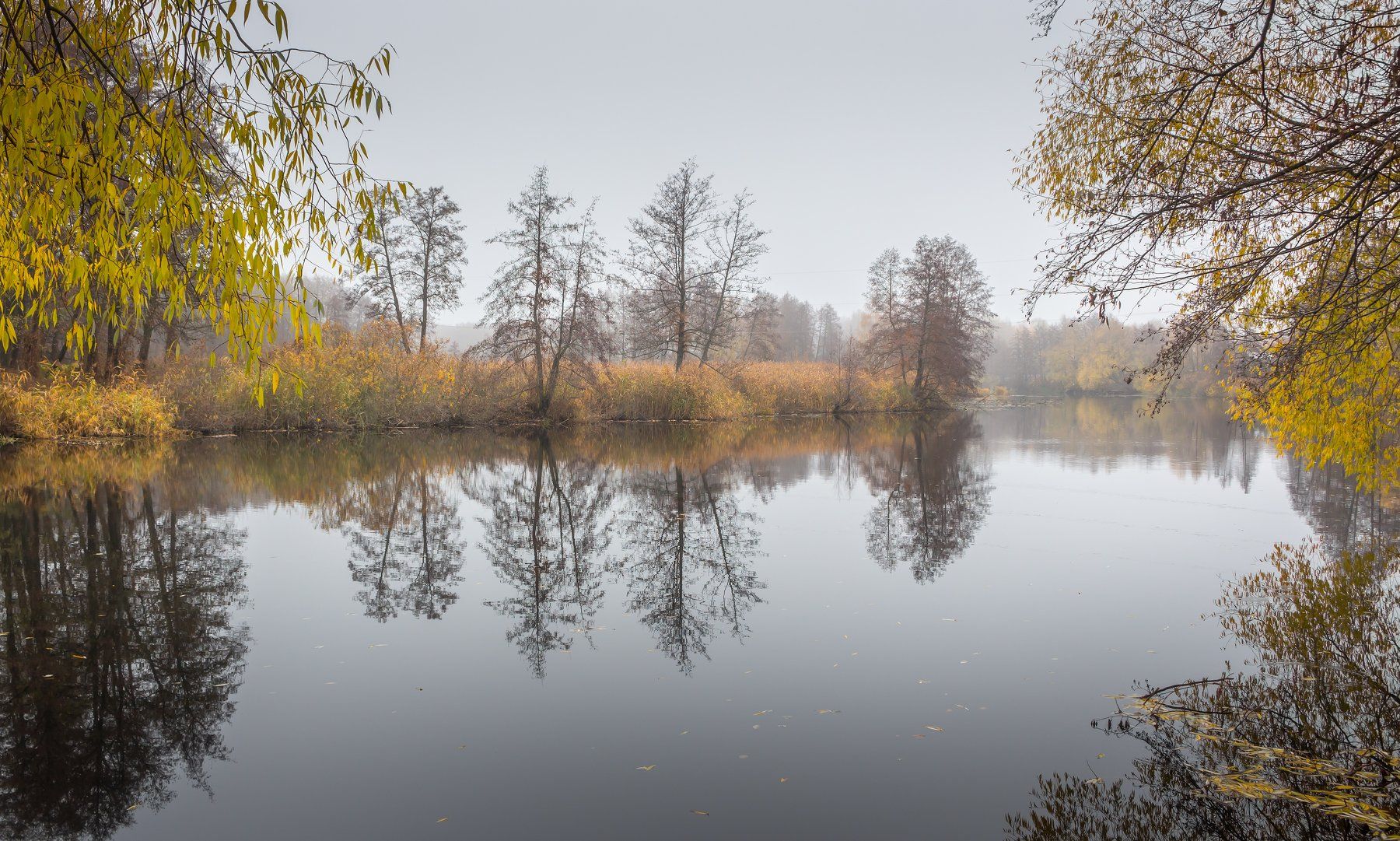 туман, лес, озеро, вода, река, осень, ноябрь, Руслан Востриков
