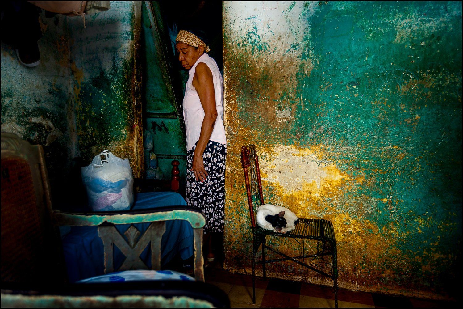 Yancho Sabev Photography, Cuba, Havana, street, color, one person, mood, wall, cat, Yancho Sabev