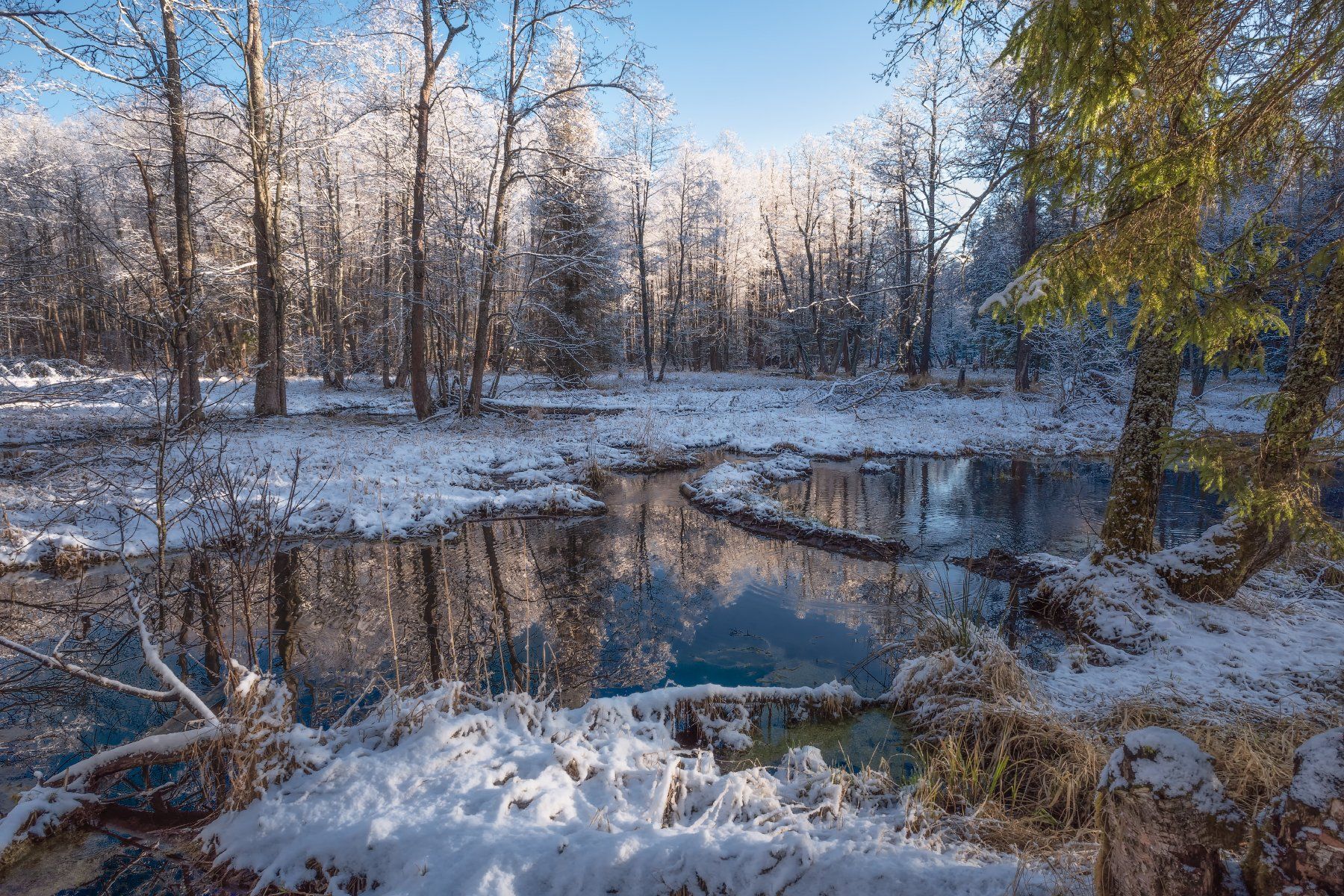 утро,рассвет,лес,снег,река,отражение, Виталий Полуэктов
