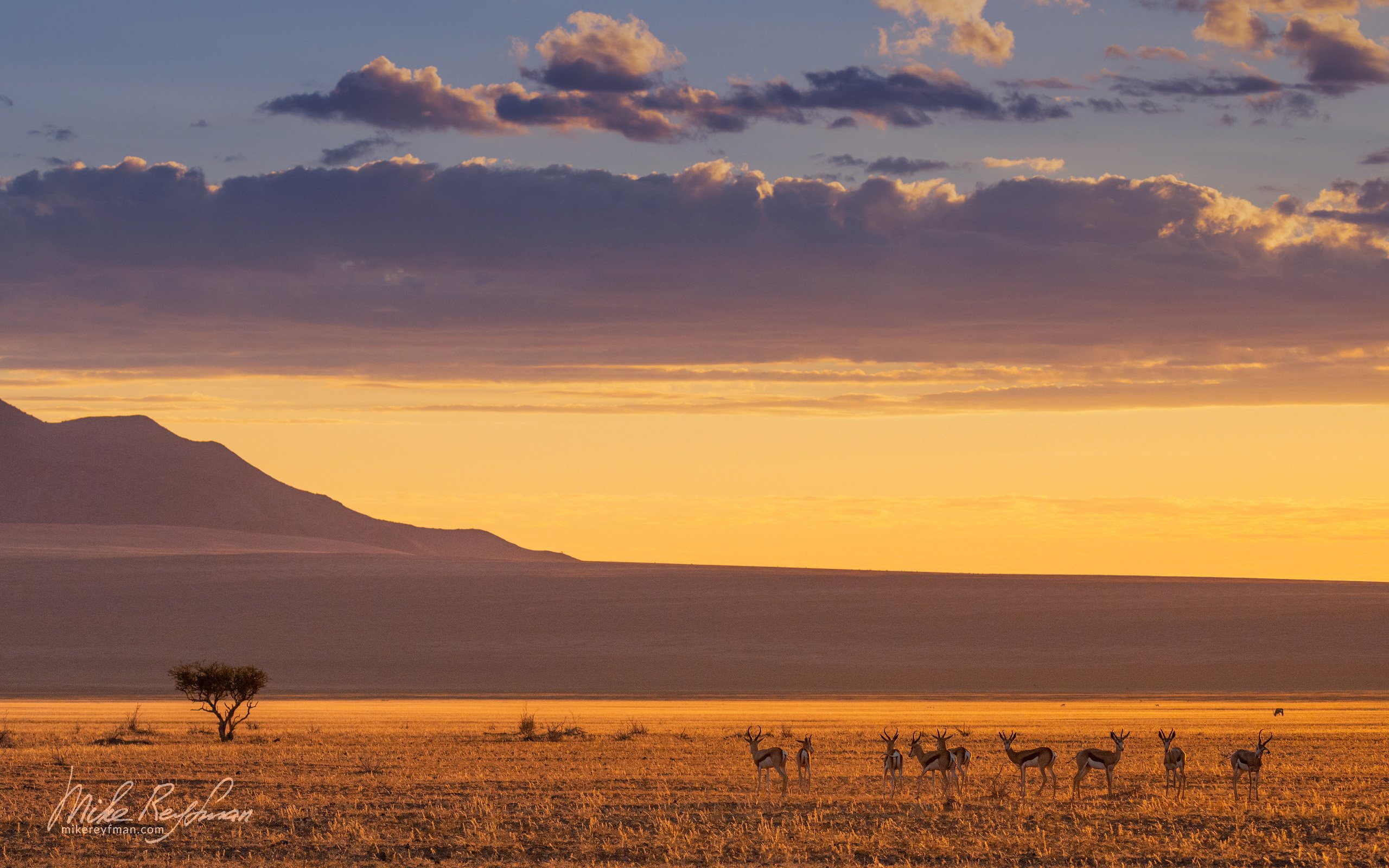 namib desert, namibrand natural reserve, southwestern namibia, impala, sky, antelope, trave, Майк Рейфман