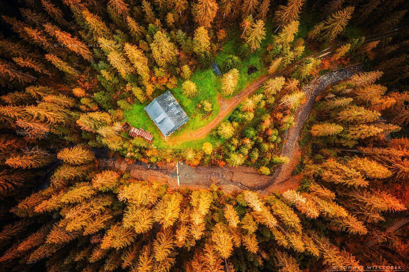 drone, poland, morning, sunrise, sunset, awesome, adventure, amazing, air, autumn, mavic, dji, landscape, countryside, forest, trees, shelter, above, Tomasz Wieczorek
