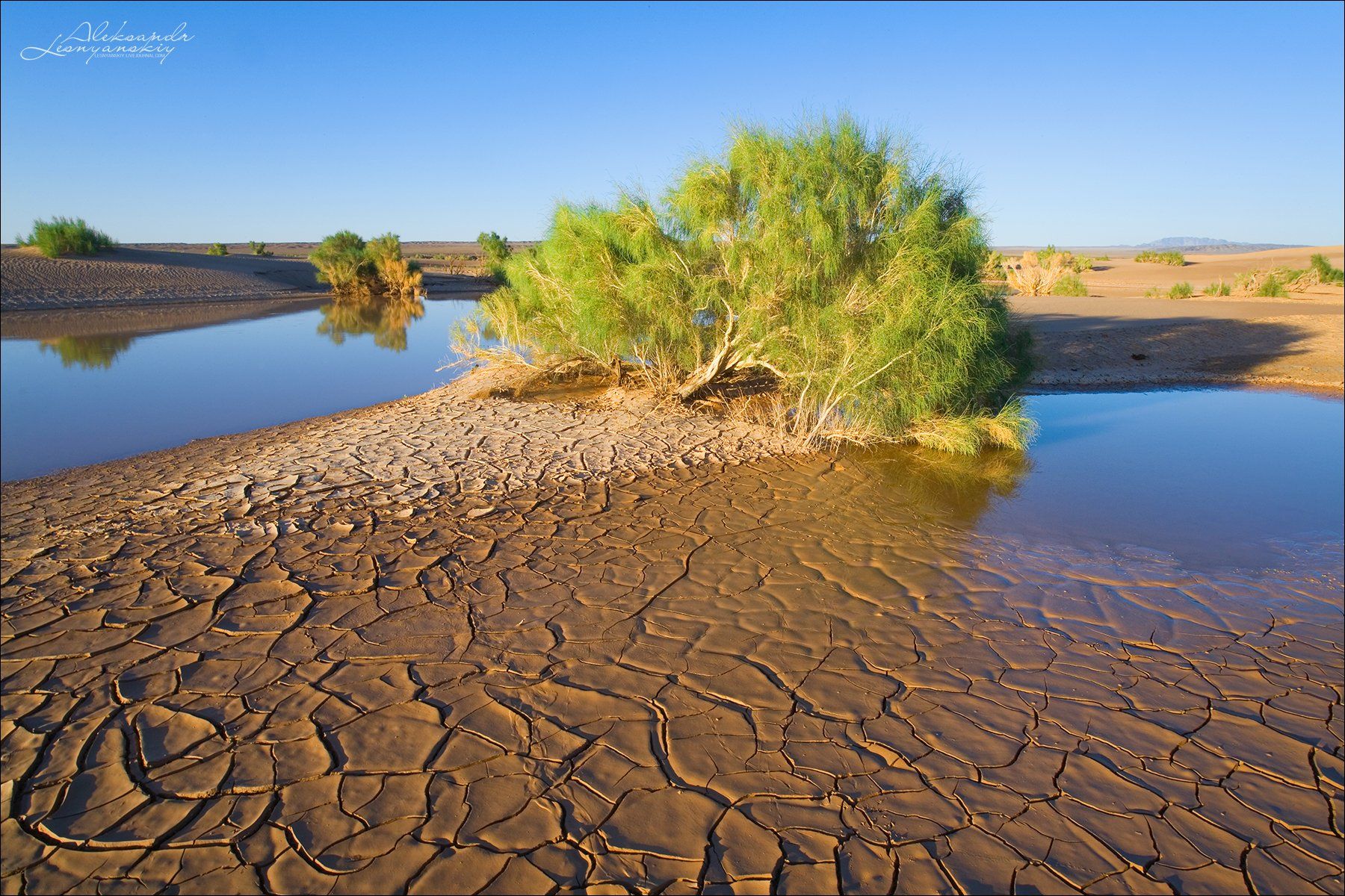 Внутренние воды полупустынь и пустынь