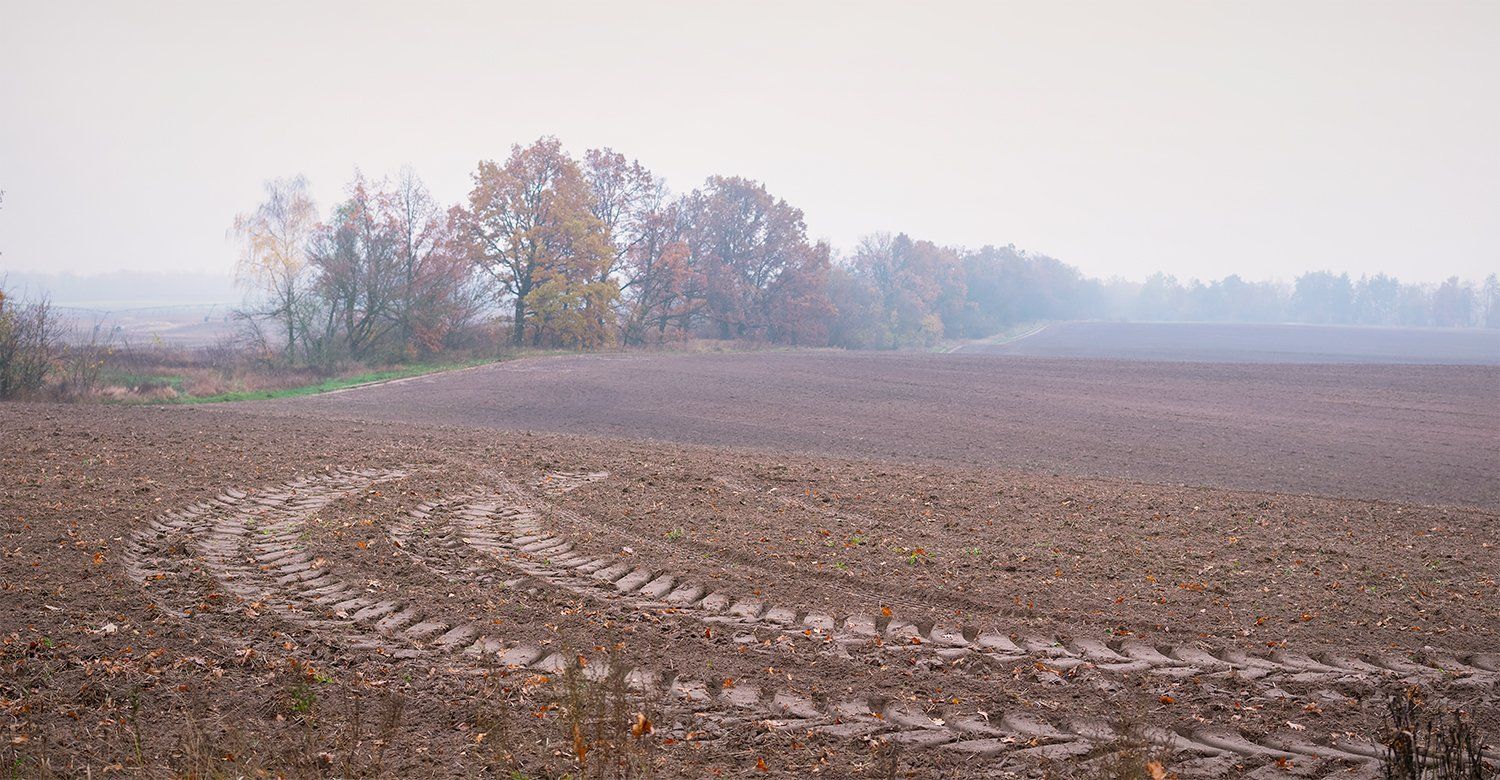 autumn, осень, Alexander Vasilenko