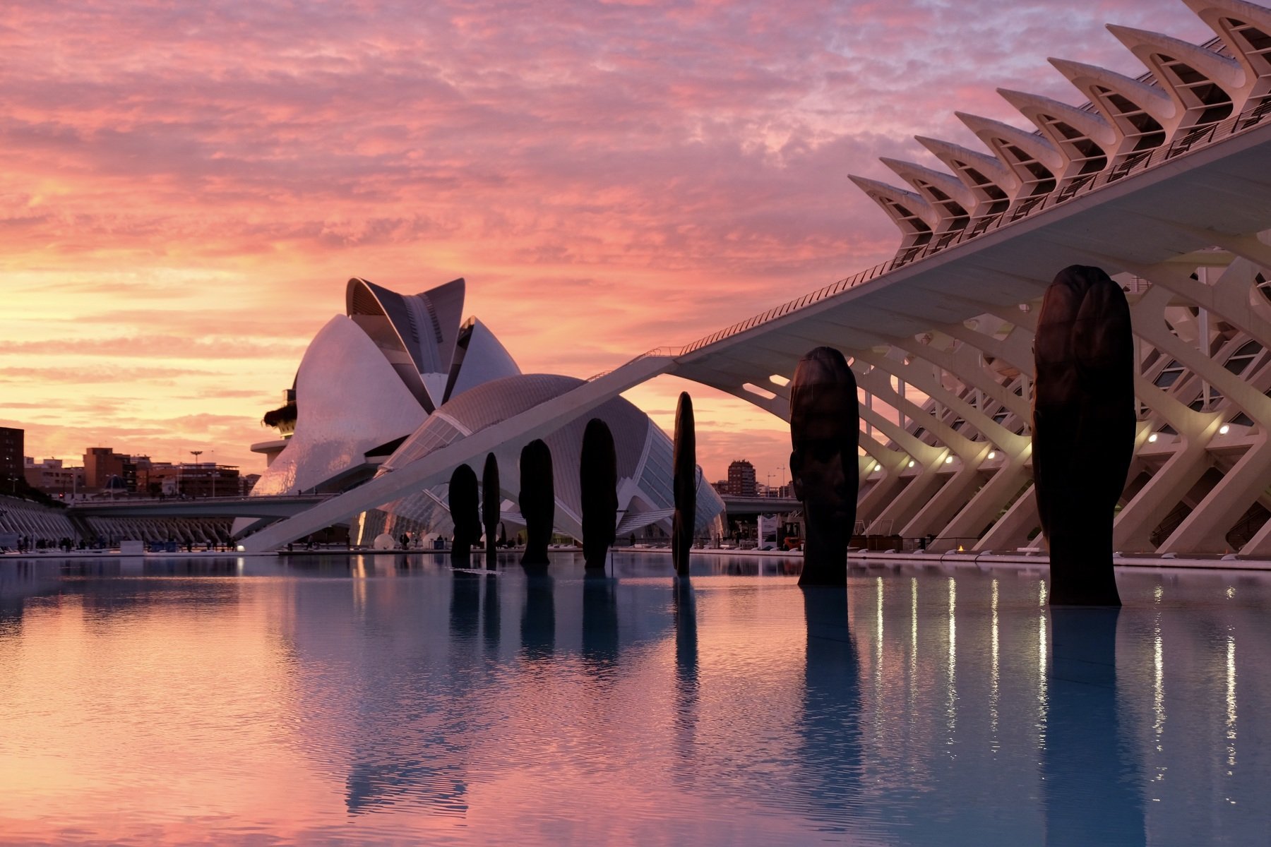architecture, SantiagoCalatrava, sunset, Valencia, Spain, travel, colorful, water, reflection, art, modern architecture, lines, geometry, , Svetlana Povarova Ree