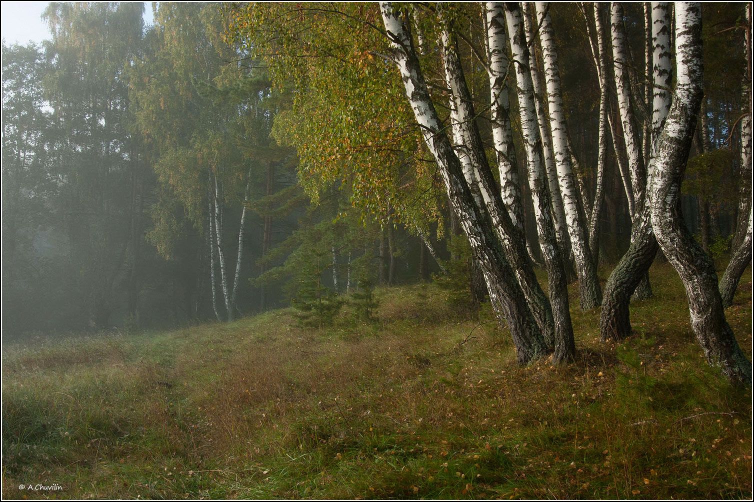 туман,утро,ранняя,осень, Александр Чувилин