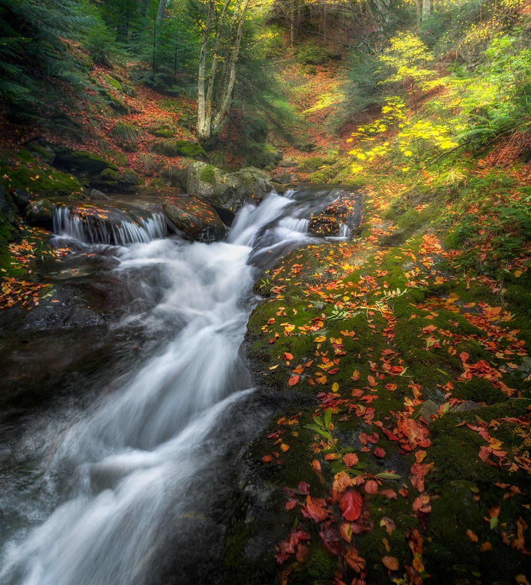 landscape nature scenery forest wood autumn waterfall river mountain staraplanina bulgaria осень лес, Александър Александров