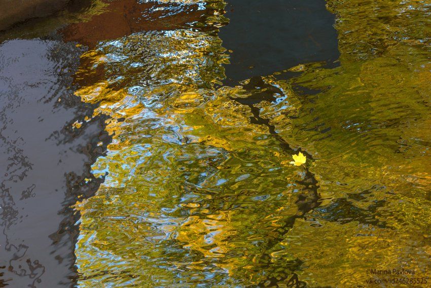 город, петербург, отражения на воде, акваграфика, акваабстракция, абстракция, осенний лист, осенние отражения, Марина Павлова