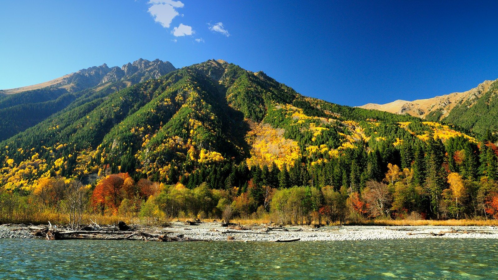 осень, лес, горы, река, теберда, кавказ, Serj Master