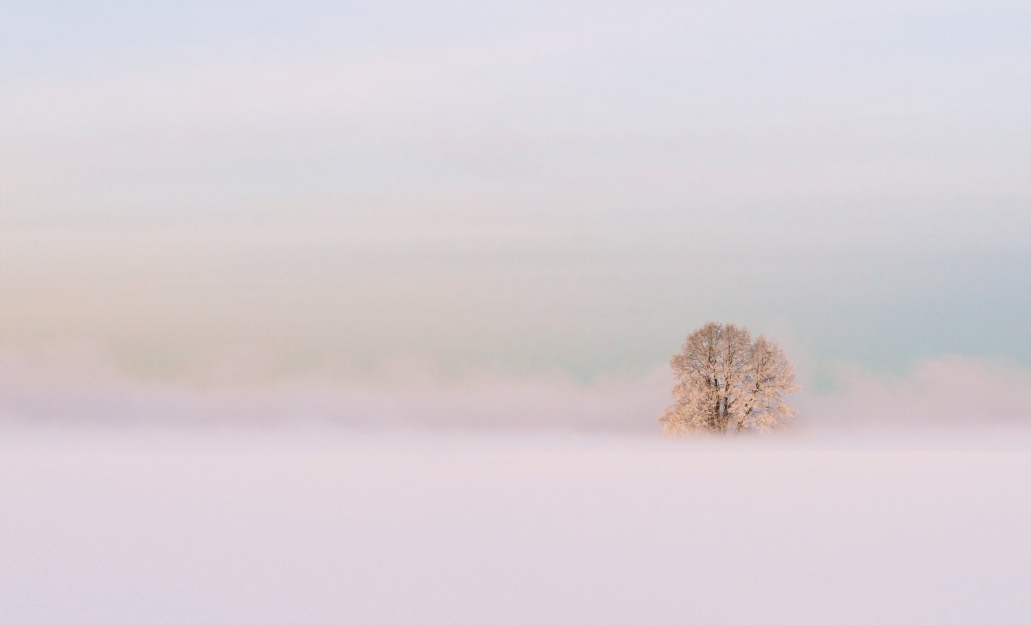 minimal, winter,snow,tree,nature,myst, Пеккер Сергей