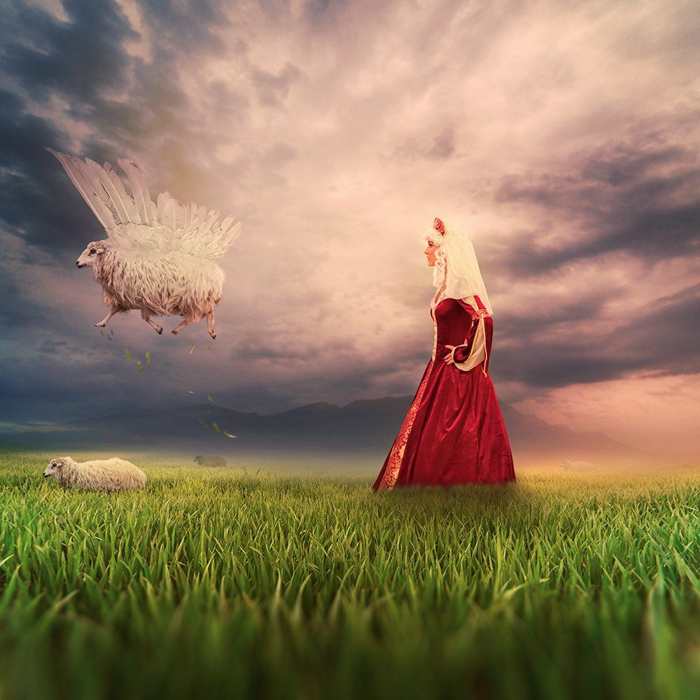 beautiful, sheep, fly, wings, grass, green, mounting, hill, sky, spreading, woman, red, fashion, cliff, dear, forest, fountain, hill, inside, ioana, land, landscape, leaf, letter, ligh, light, manipulation, mounting, mystical, paper, poem, psd, rock, sun,, Caras Ionut