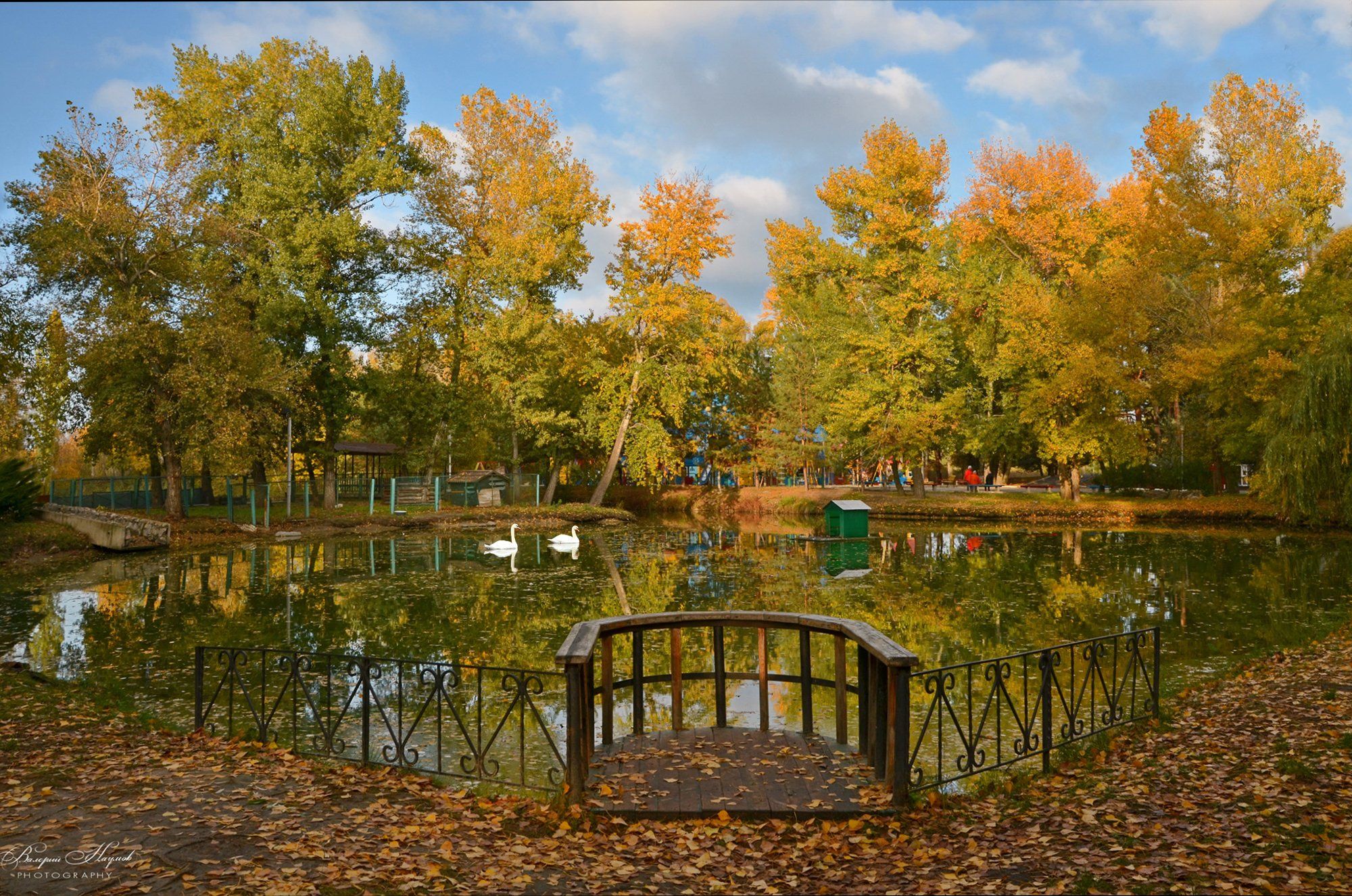 осень, ноябрь, озеро, листва, лебеди, отражения, Валерий Наумов