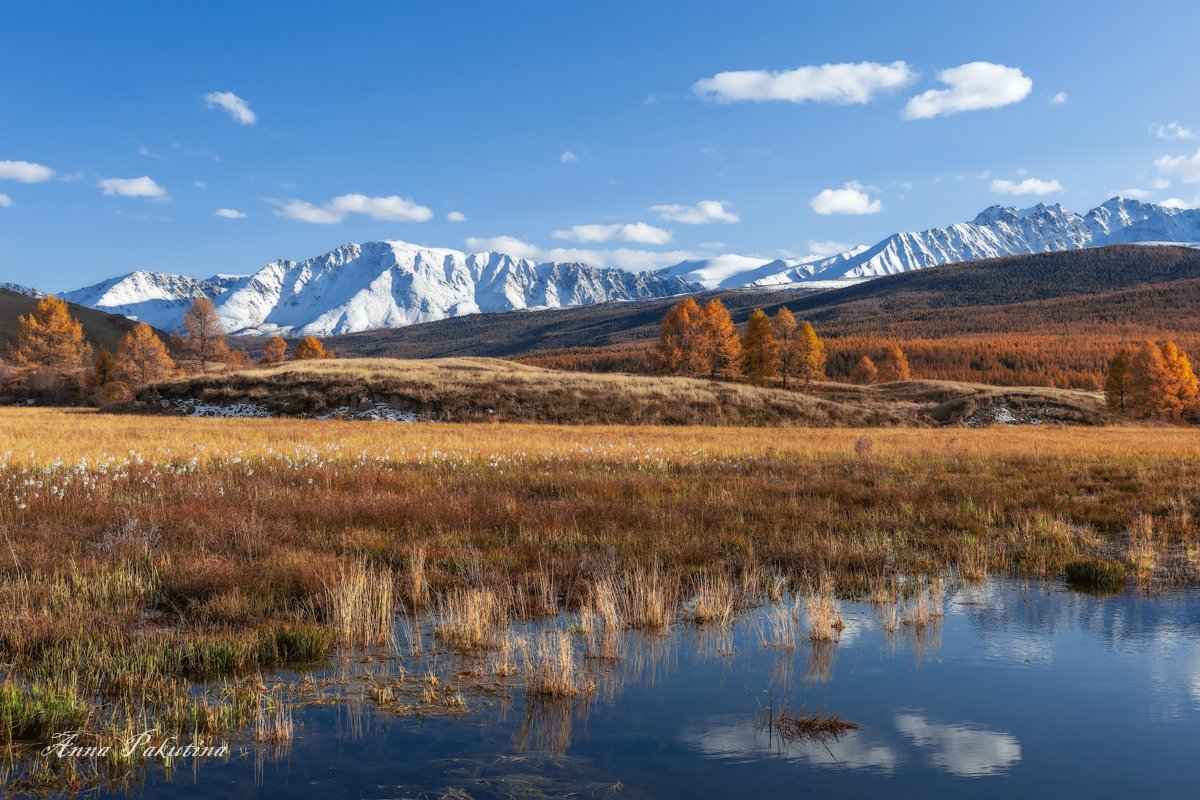 алтай, пейзаж, landscape, altai, Анна Пакутина