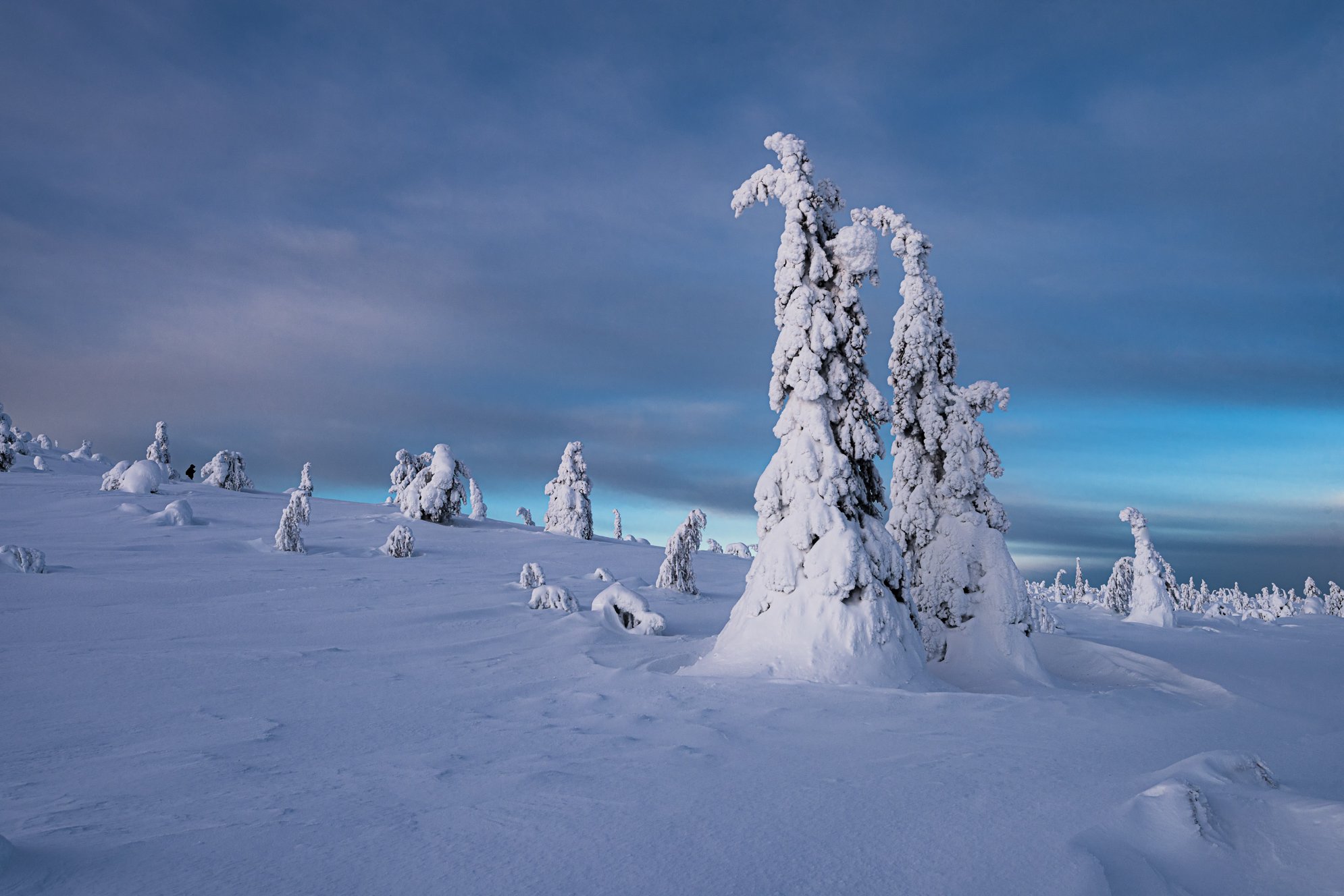 winter, snow, nature, lapland, finland, national park, зима, снег, природа, лапландия, Vladimir Koss