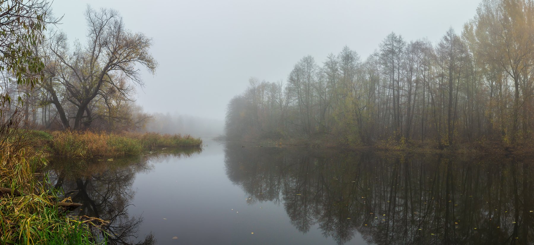 туман, река, природа, осень, озеро, ноябрь, лес, вода, усмань, Руслан Востриков