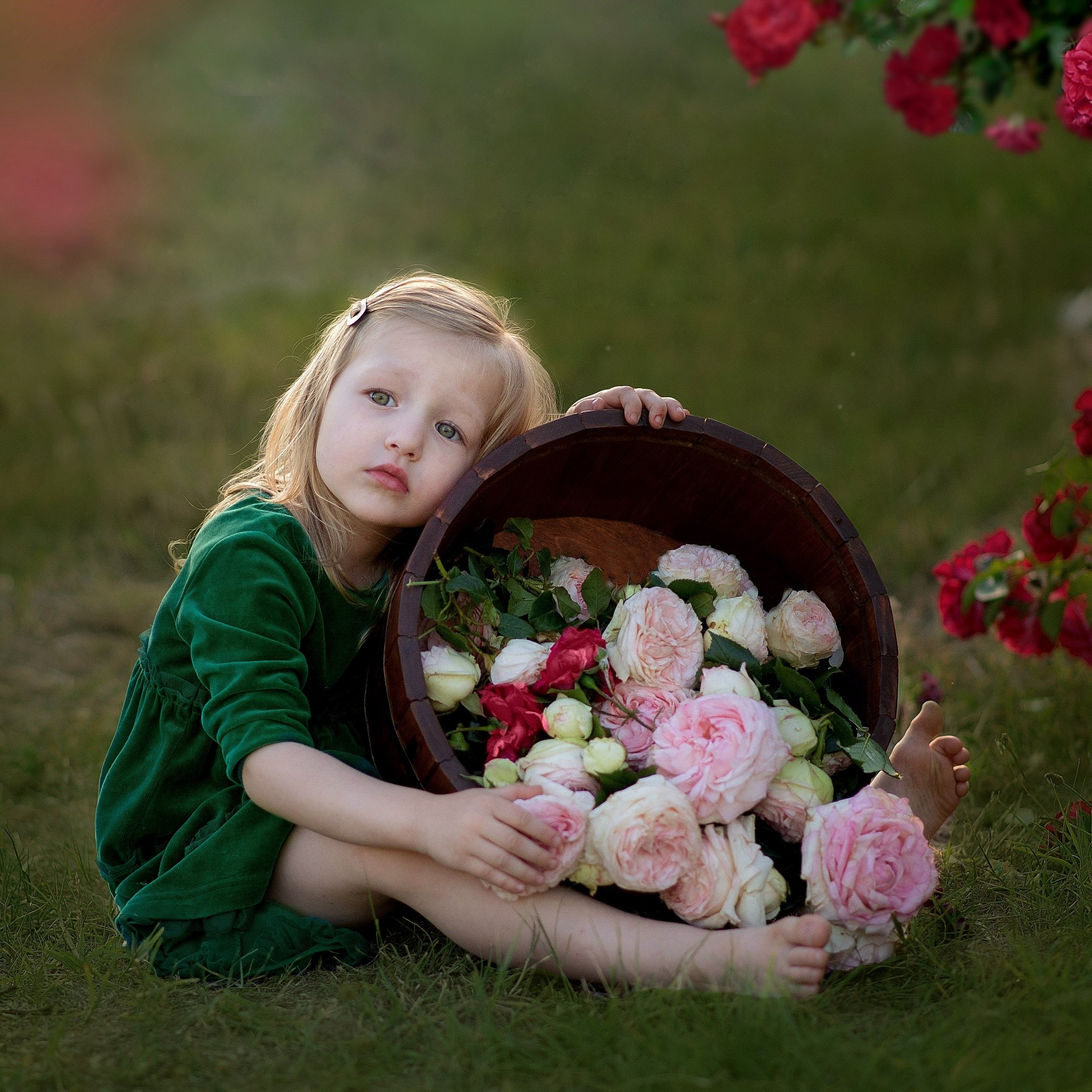розы, дети, девочка, портрет, весна, Надежда Кураж