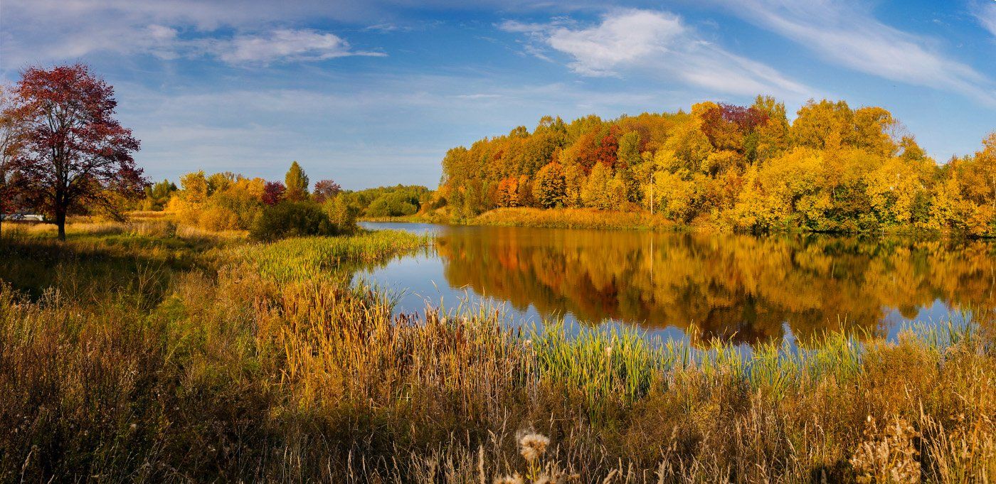 осень сентябрь вода отражение лукново, Дмитрий Алексеев