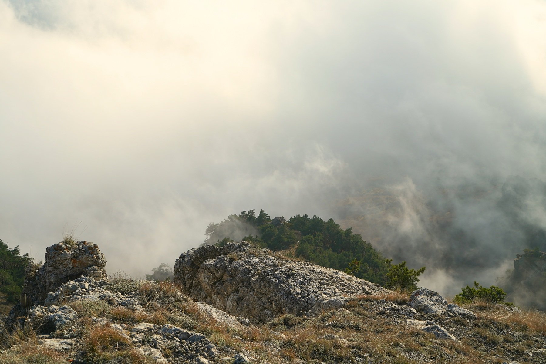 hike, season, weather, mountains, clouds, tree, Сергей Андреевич