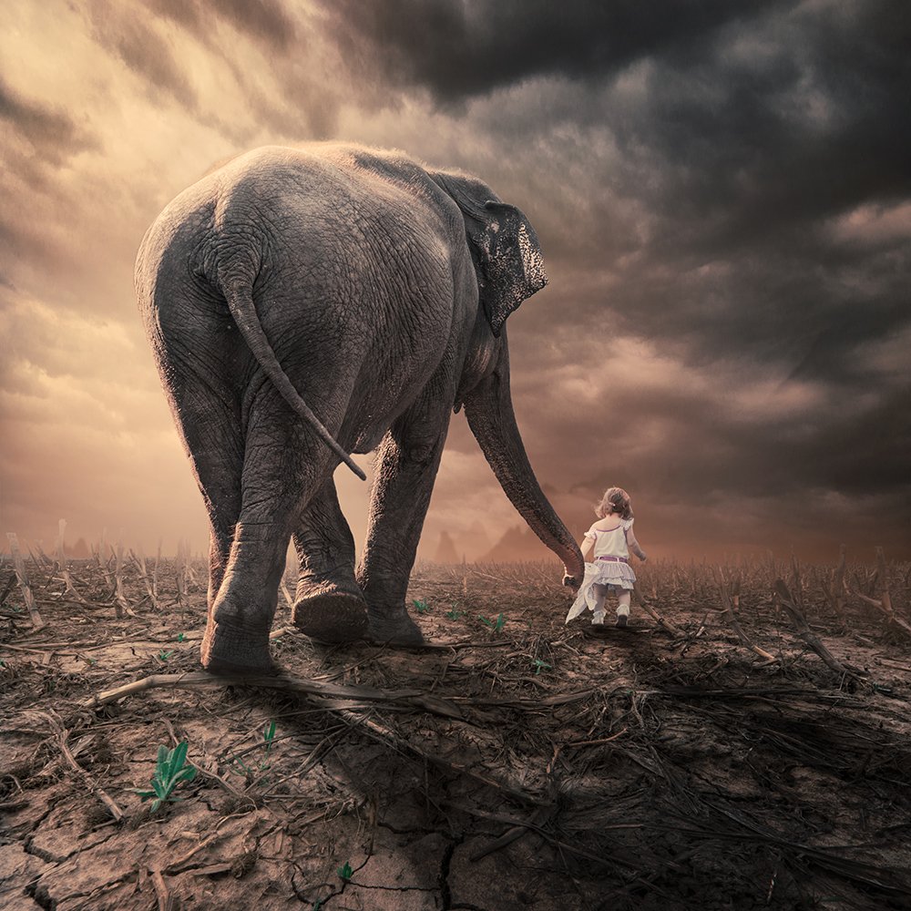 clouds, corn, elephant, girl, ground, head, heat, ioana, journey, light, manipulation, mounting, mounting happy, psd, reflection, sky, spinner, stage, tutorials, Caras Ionut