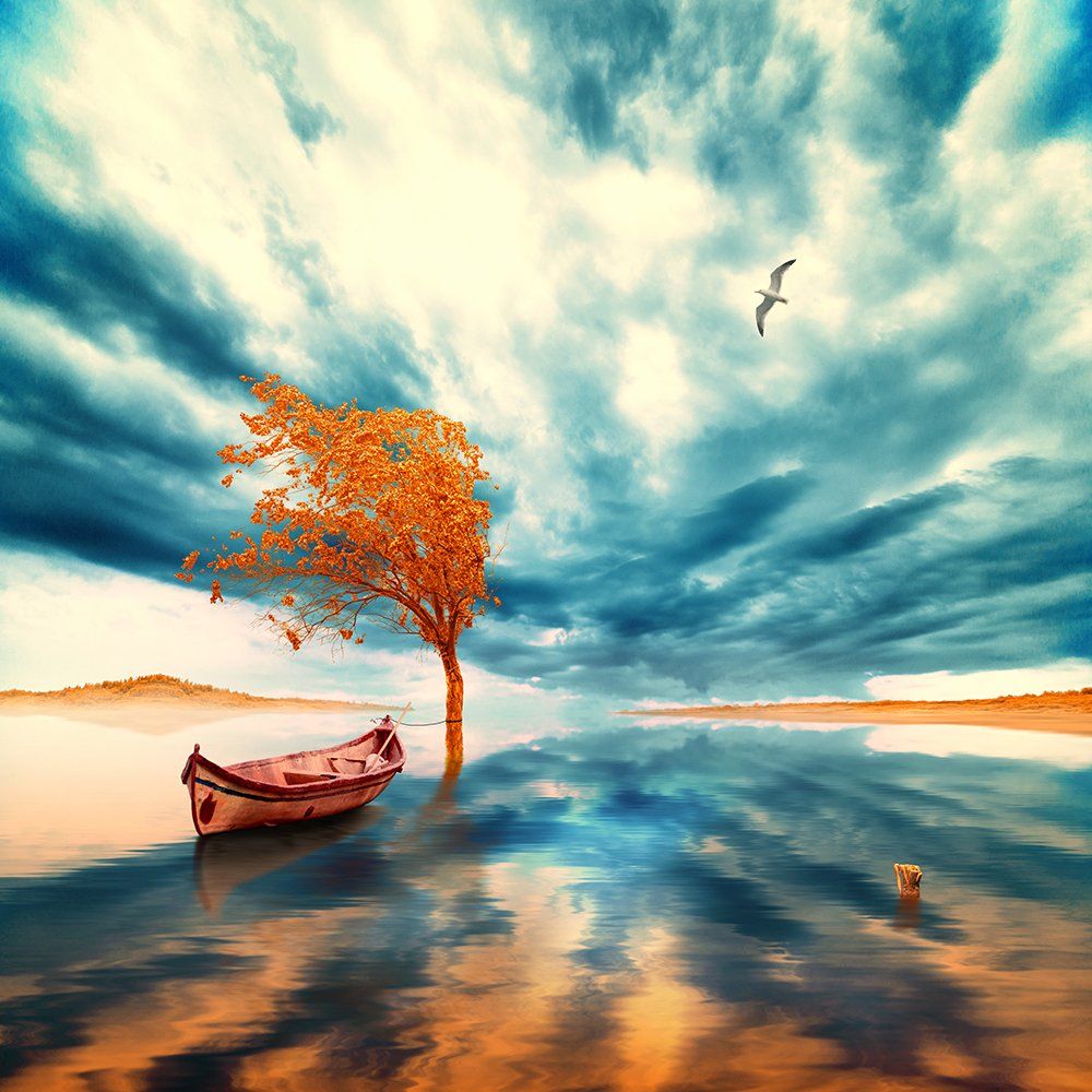 amazing, blue, boat, bubble, clouds, daughter, design, drums, floating, ioana, ir, island, land, light, manipulation, orange, pastel, photoshop, pipes, psd, read, shadow, shore, smoke, tree, tutorials, water, wood, world, Caras Ionut