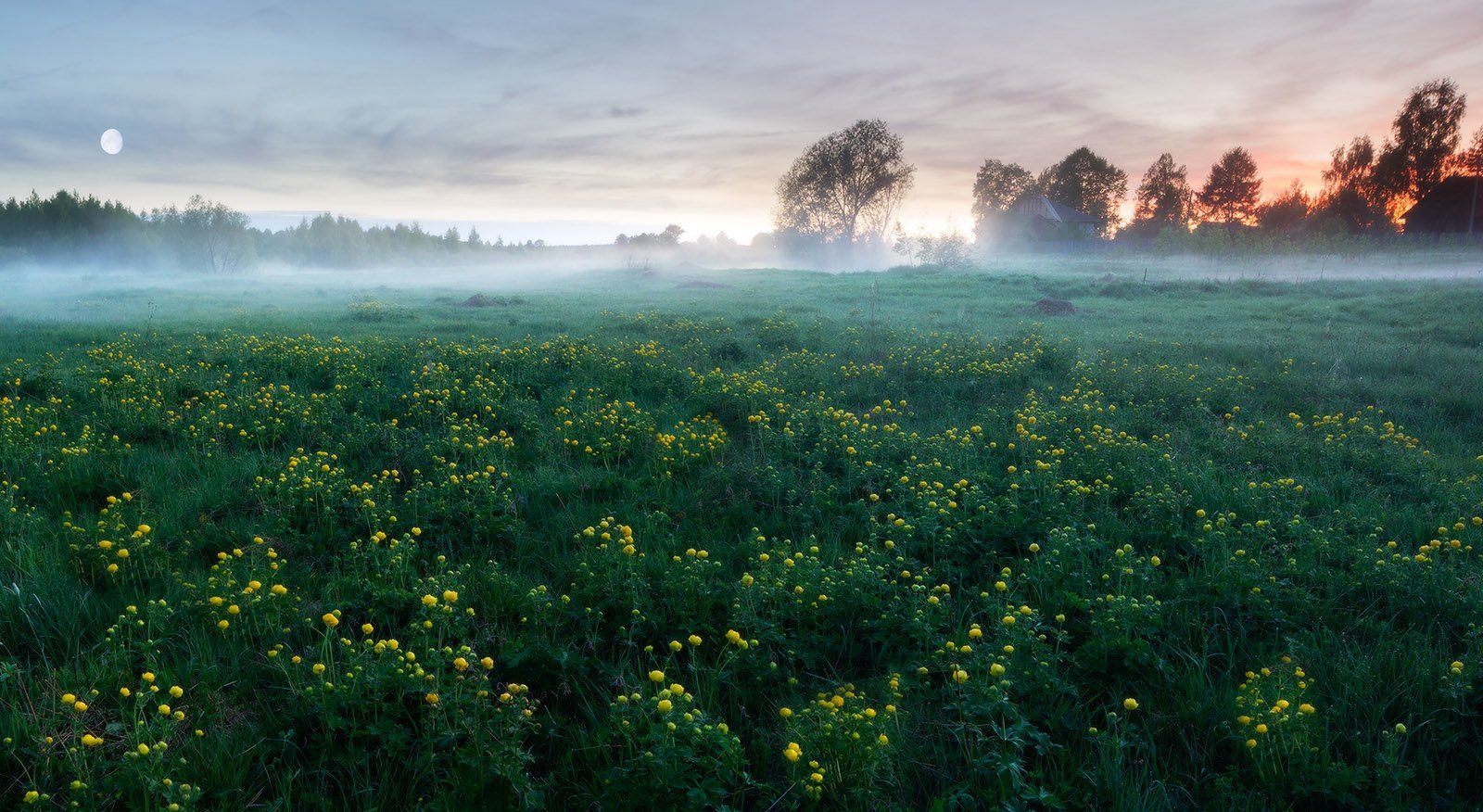 весна, деревня, пейзаж, поле, туман, панорама, Алексей Чистяков