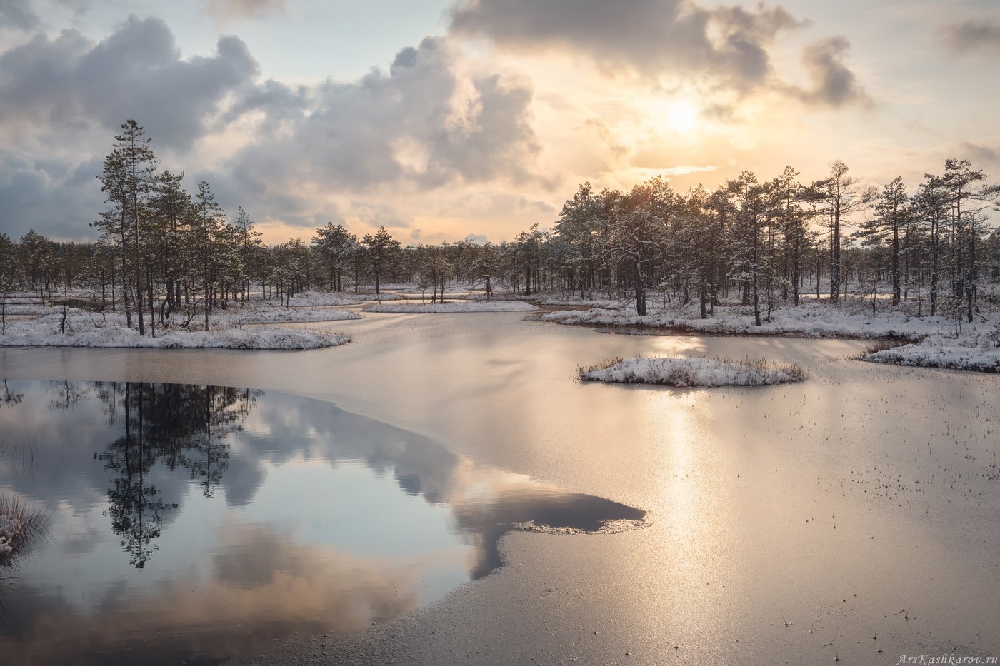болото, ленобласть, фототур, зимний пейзаж, ленинградская область, первый снег, Арсений Кашкаров