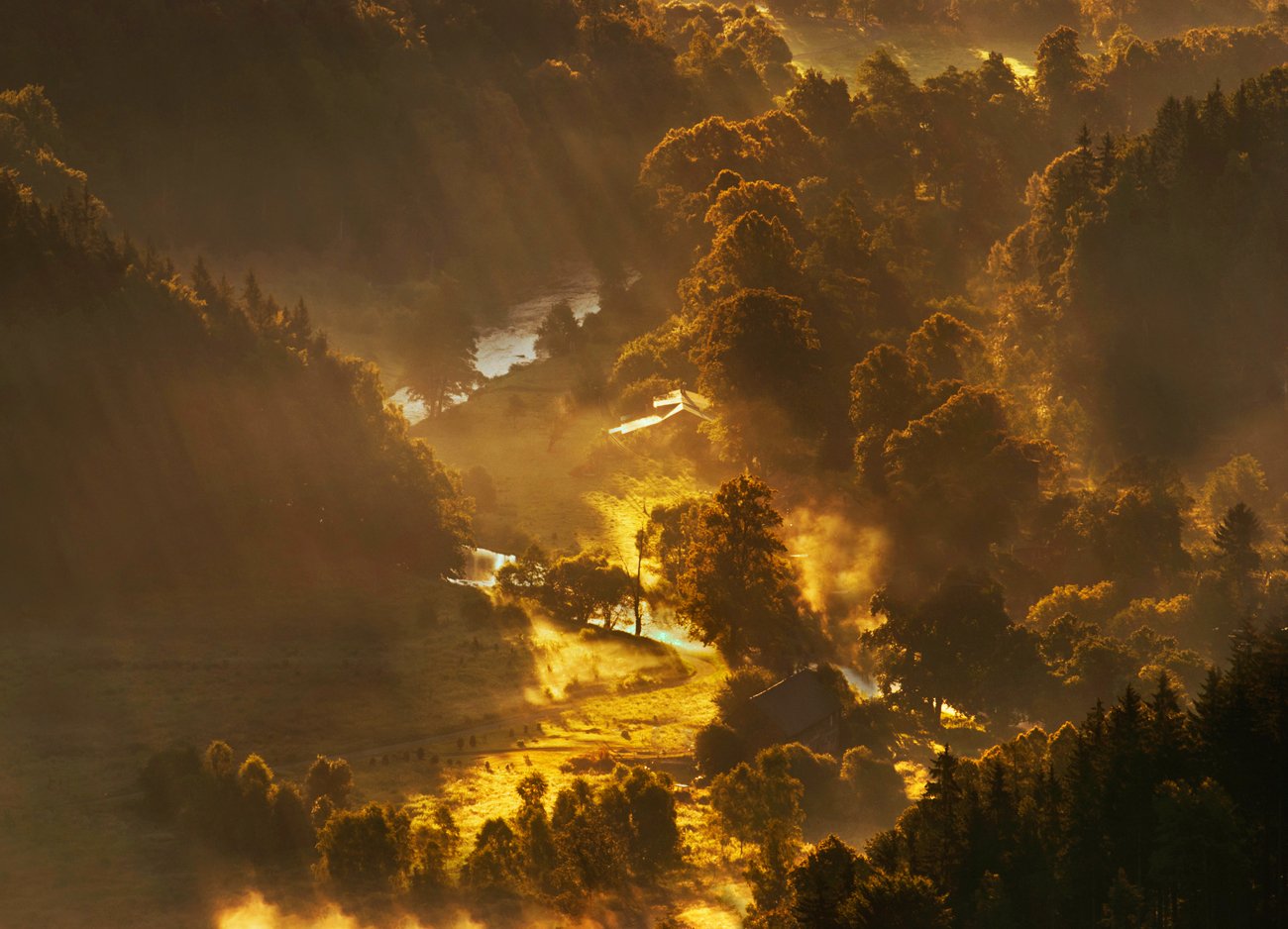 Landscape, sunrise, fog, nikon, Marcin Grzegorczyn