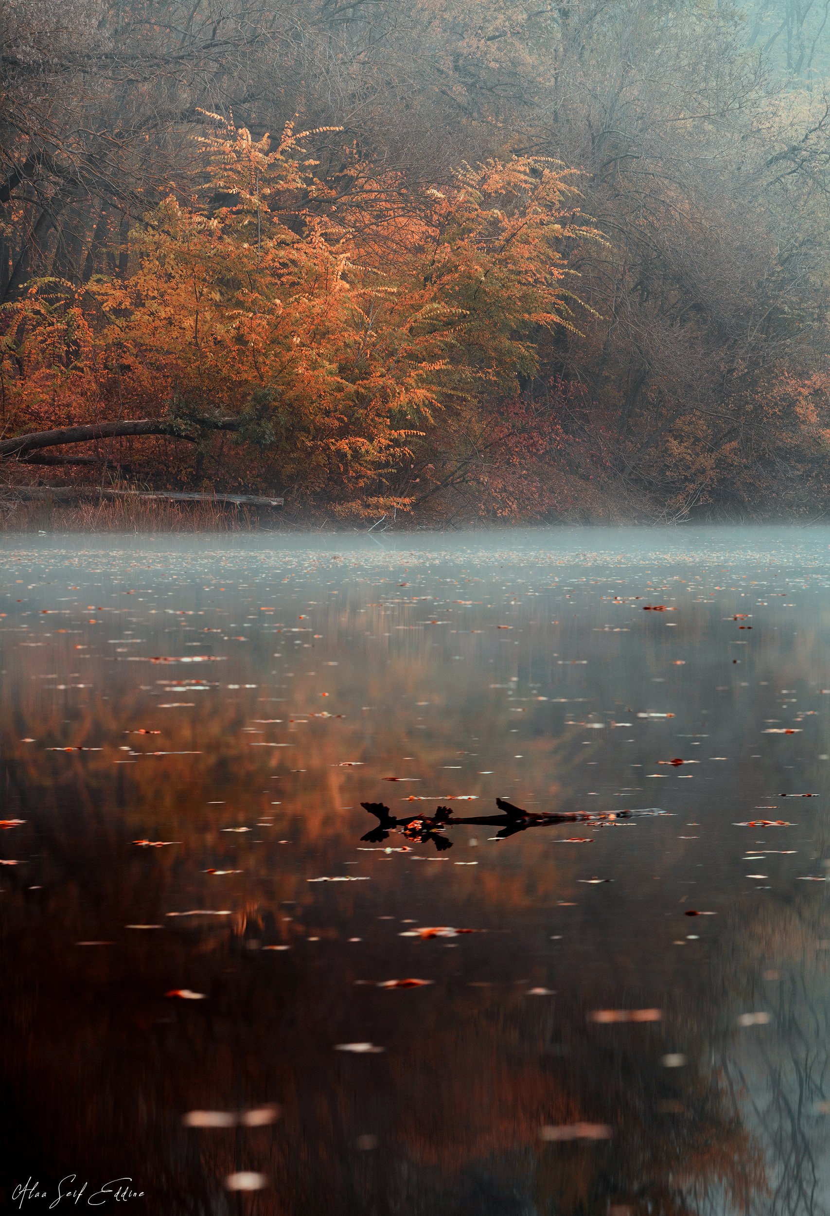 autumn, landscape, photography, Alaa Seif Eddine