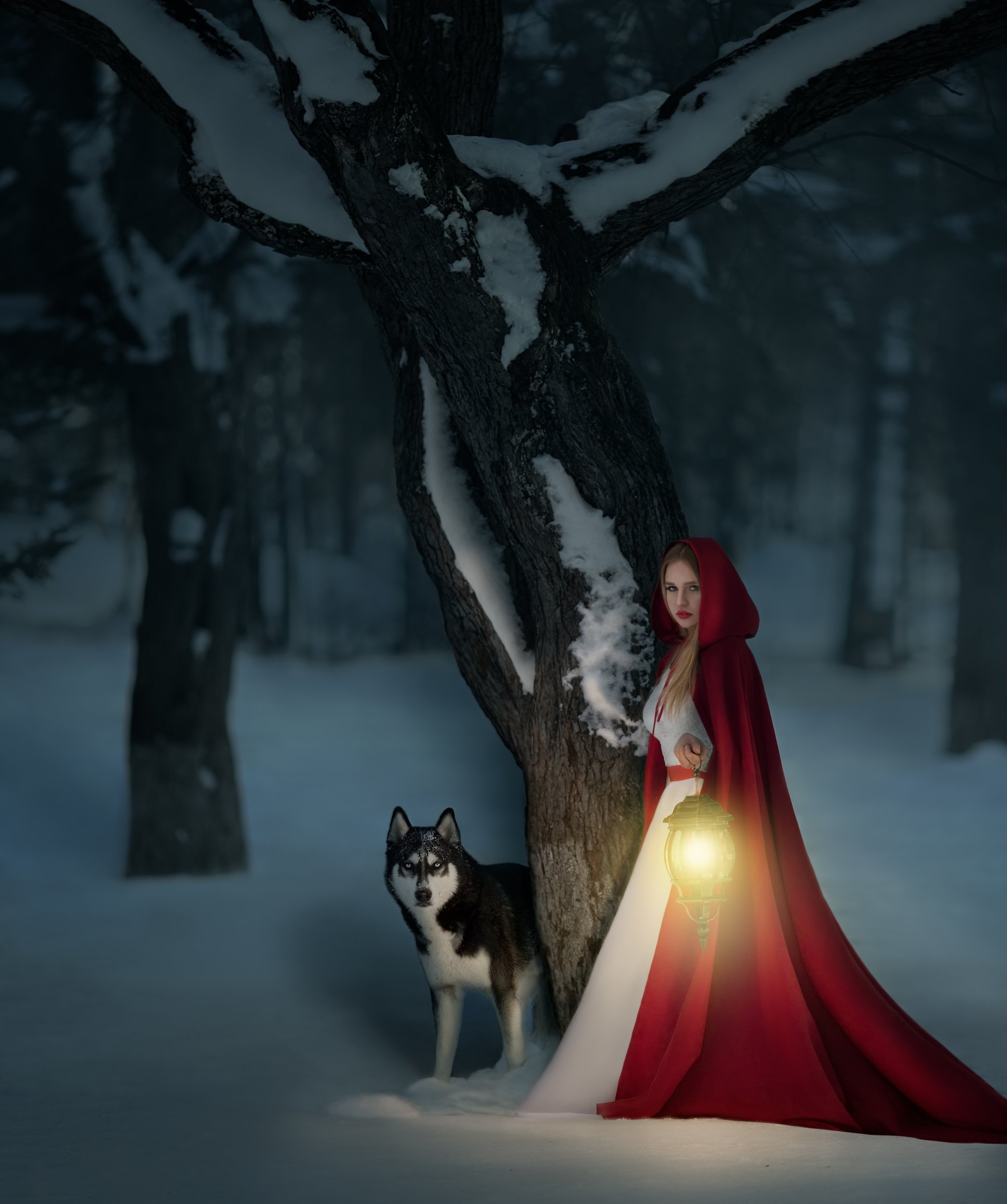 #husky, #dog, #girl, #night, #redhood, #winter, #forest, #mystery, #lighter, #lamp #краснаяшапочка #сказка #fairytale, Ксения Лыгина