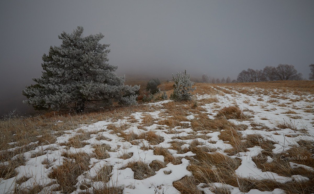 кавказ горы зима туман, Николай Стюбко