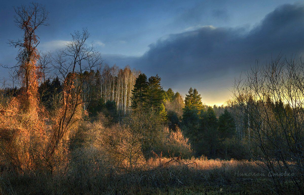 кавказ горы осень деревья закат, Николай Стюбко