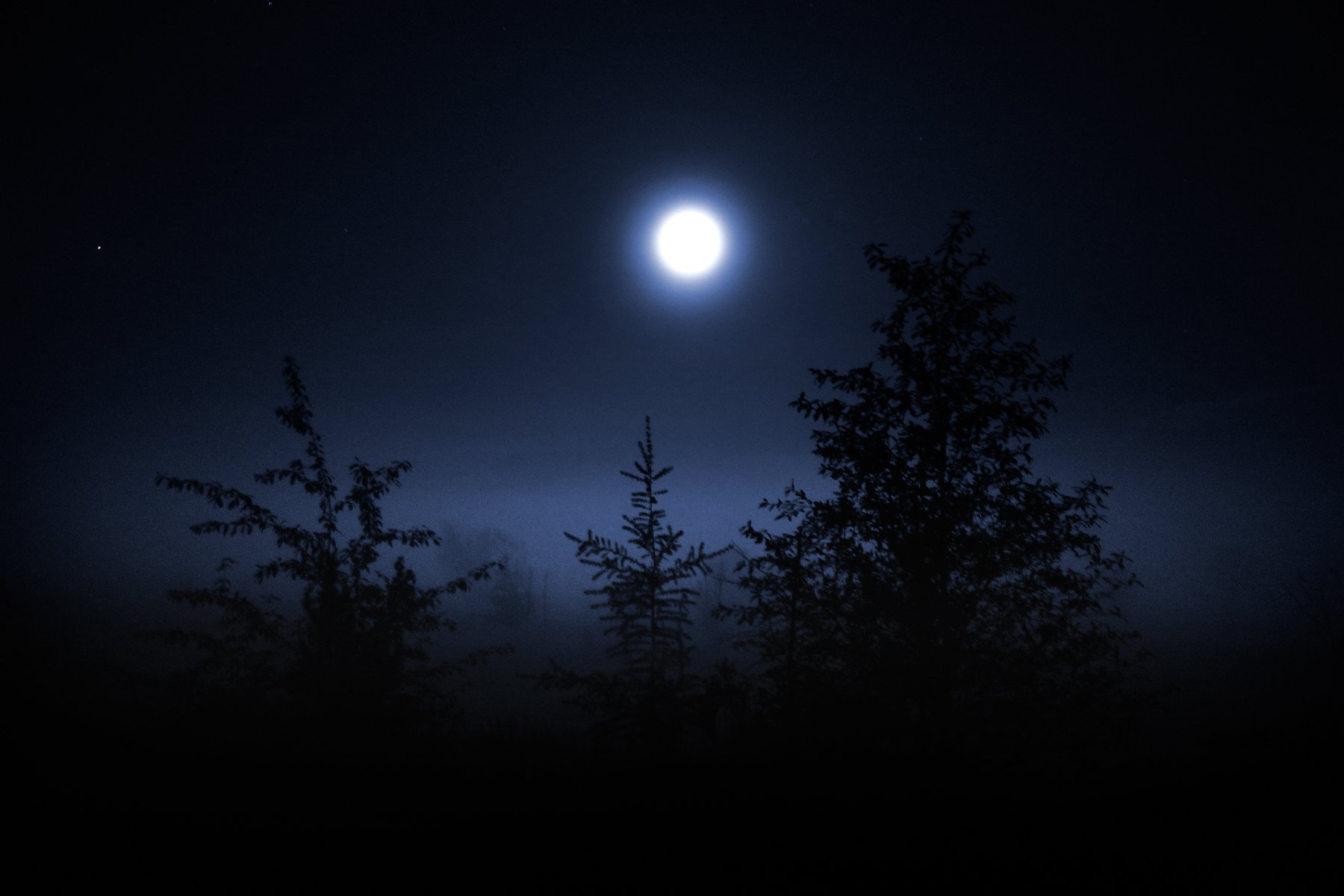 Луна туман песня. Ночь туман Луна. Луна в тумане. Ночка темная. Полнолуние в тумане.