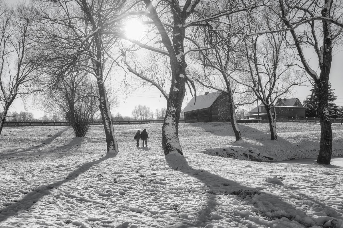 зима,декабрь,черно-белое, Юлия Лаптева