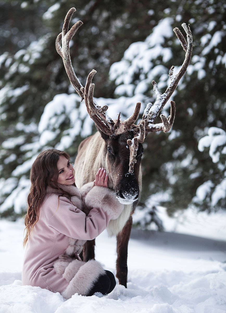 Олень, северный, девушка, красотка,зима,природа, deer, reindeer, girl, beautiful, winter, nature, Юлия Стукалова
