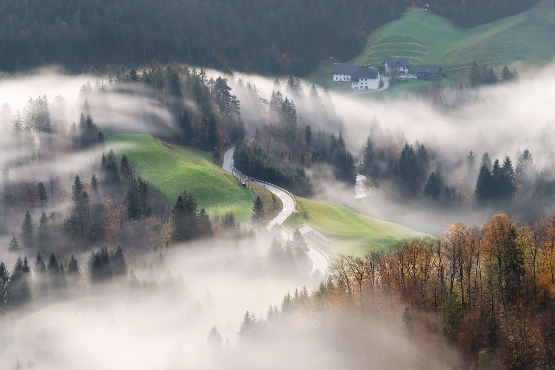 словения, slovenia, туманы словении, slovenia landscape, slovenia landscape photography, Татьяна Ефименко